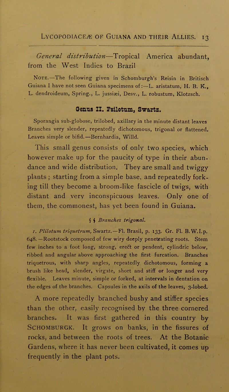 General distribution—Tropical America abundant, from the West Indies to Brazil Note.—The following given in Schomburgh’s Reisin in Britisch Guiana I have not seen Guiana specimens of:—L. aristatum, H. B. K., L. dendroideum, Spring., L. jussiaei, Desv., L. robustum, Klotzsch. Genus II. Psilotum, Swartz. Sporangia sub-globose, trilobed, axillary in the minute distant leaves Branches very slender, repeatedly dichotomous, trigonal or flattened. Leaves simple or bifid.—Bernhardia, Willd. This small genus consists of only two species, which however make up for the paucity of type in their abun- dance and wide distribution. They are small and twiggy plants ; starting from a simple base, and repeatedly fork- ing till they become a broom-like fascicle of twigs, with distant and very inconspicuous leaves. Only one of them, the commonest, has yet been found in Guiana. § $ Branches trigonal. 1. Plilotum triquetrum, Swartz. — FI. Brasil, p. 133. Gr. FI. B.W. I.p. 648. —Rootstock composed of few wiry deeply penetrating roots. Stem few inches to a foot long, strong, ereft or pendent, cylindric below, ribbed and angular above approaching the first furcation. Branches triquetrous, with sharp angles, repeatedly dichotomous, forming a brush like head, slender, virgate, short and stiff or longer and very flexible. Leaves minute, simple or forked, at intervals in dentation on the edges of the branches. Capsules in the axils of the leaves, 3-lobed. A more repeatedly branched bushy and stiffer species than the other, easily recognised by the three cornered branches. It was first gathered in this country by SCHOMBURGK. It grows on banks, in the fissures of rocks, and between the roots of trees. At the Botanic Gardens, where it has never been cultivated, it comes up frequently in the plant pots.