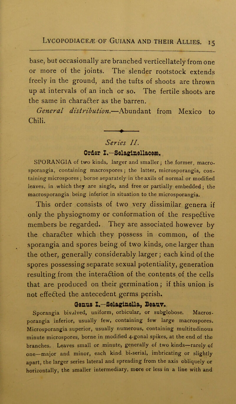 base, but occasionally are branched verticellately from one or more of the joints. The slender rootstock extends freely in the ground, and the tufts of shoots are thrown up at intervals of an inch or so. The fertile shoots are the same in character as the barren. General distribution.—Abundant from Mexico to Chili. Series II. Order I,—Selajzinellace®. SPORANGIA of two kinds, larger and smaller; the former, macro- sporangia, containing macrospores ; the latter, microsporangia, con- taining microspores; borne separately in the axils of normal or modified leaves, in which they are single, and free or partially embedded ; the macrosporangia being inferior in situation to the microsporangia. This order consists of two very dissimilar genera if only the physiognomy or conformation of the respective members be regarded. They are associated however by the character which they possess in common, of the sporangia and spores being of two kinds, one larger than the other, generally considerably larger; each kind of the spores possessing separate sexual potentiality, generation resulting from the interaction of the contents of the cells that are produced on their germination ; if this union is not effected the antecedent germs perish. Ganns I.—Solaarinolla, Beauv. Sporangia bivulved, uniform, orbicular, or subglobose. Macros- porangia inferior, usually few, containing few large macrospores. Microsporangia superior, usually numerous, containing multitudinous minute microspores, borne in modified 4-gonal spikes, at the end of the branches. Leaves small or minute, generally of two kinds—rarely of one—major and minor, each kind bi-serial, imbricating or slightly apart, the larger series lateral and spreading from the axis obliquely or horizontally, the smaller intermediary, more or less in a line with and