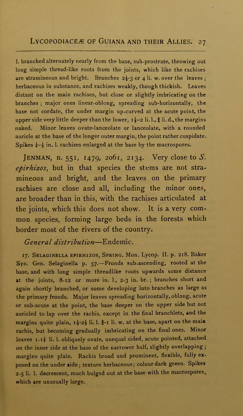 1. branched alternately nearly from the base, sub-prostrate, throwing out long simple thread-like roots from the joints, which like the rachises are stramineous and bright. Branches 2^-3 or 4 li. w. over the leaves ; herbaceous in substance, and rachises weakly, though thickish. Leaves distant on the main rachises, but close or slightly imbricating on the branches ; major ones linear-oblong, spreading sub-horizontally, the base not cordate, the under margin up-curved at the acute point, the upper side very little deeper than the lower, x|-2 li. 1., J li. d., the margins naked. Minor leaves ovate-lanceolate or lanceolate, with a rounded auricle at the base of the longer outer margin, the point rather cuspidate. Spikes J- in. 1. rachises enlarged at the base by the macrospores. JENMAN, n. 551, 1479, 2061, 2134. Very close to S. epirhizos, but in that species the stems are not stra- mineous and bright, and the leaves on the primary rachises are close and all, including the minor ones, are broader than in this, with the rachises articulated at the joints, which this does not show. It is a very com- mon species, forming large beds in the forests which border most of the rivers of the country. General distribution—Endemic. 17. Selaginella epirhizos, Spring. Mon. Lycop. II. p. 218. Baker Syn. Gen. Selaginella p. 57.—Fronds sub-ascending, rooted at the base, and with long simple threadlike roots upwards some distance at the joints, 8-12 or more in. 1., 2-3 in. br. ; branches short and again shortly branched, or some developing into branches as large as the primary fronds. Major leaves spreading horizontally, oblong, acute or sub-acute at the point, the base deeper on the upper side but not auricled to lap over the rachis, except in the final branchlets, and the margins quite plain, rJ-2^ li. 1. f-i li. w. at the base, apart on the main rachis, but becoming gradually imbricating on the final ones. Minor leaves i-ij li. 1. obliquely ovate, unequal sided, acute pointed, attached on the inner side at the base of the narrower half, slightly overlapping ; margins quite plain. Rachis broad and prominent, flexible, fully ex- posed on the under side ; texture herbaceous; colour dark green. Spikes 2-5 li. 1. decrescent, much bulged out at the base with the macrospores, which are unusually large.