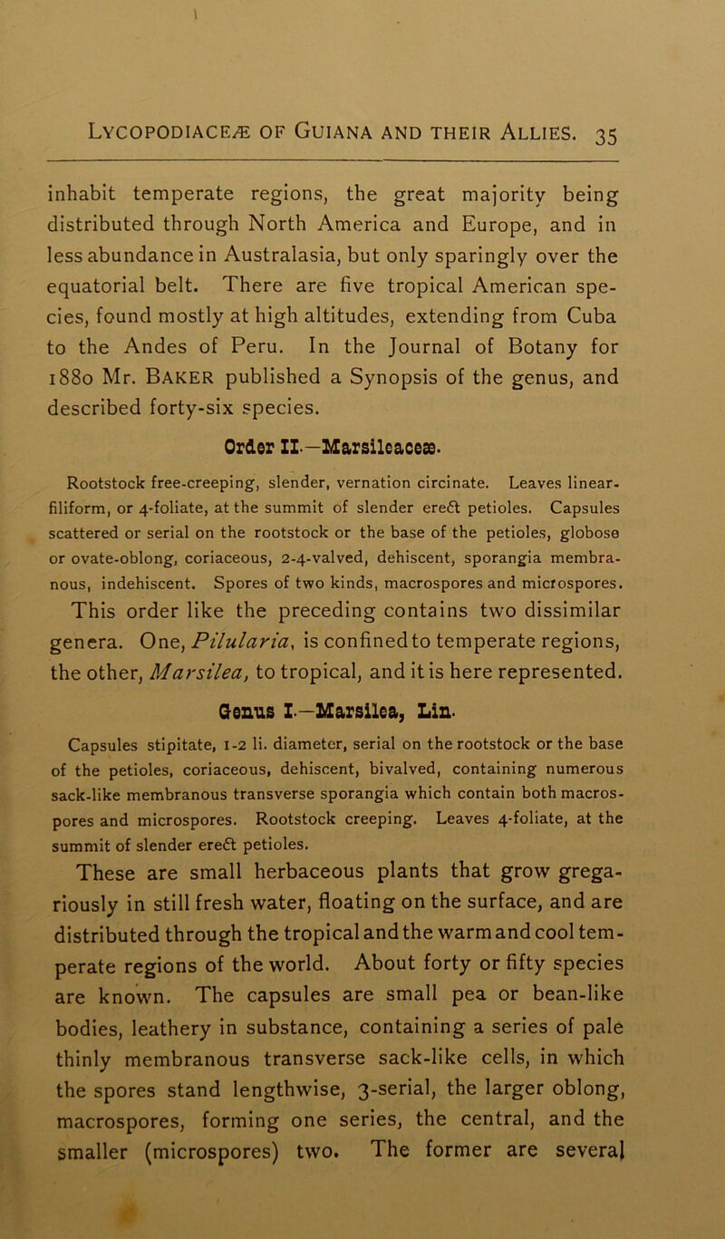 inhabit temperate regions, the great majority being distributed through North America and Europe, and in less abundance in Australasia, but only sparingly over the equatorial belt. There are five tropical American spe- cies, found mostly at high altitudes, extending from Cuba to the Andes of Peru. In the Journal of Botany for 1880 Mr. Baker published a Synopsis of the genus, and described forty-six species. Order II—Marsileacese. Rootstock free-creeping, slender, vernation circinate. Leaves linear- filiform, or 4-foliate, at the summit of slender ereft petioles. Capsules scattered or serial on the rootstock or the base of the petioles, globose or ovate-oblong, coriaceous, 2-4-valved, dehiscent, sporangia membra- nous, indehiscent. Spores of two kinds, macrospores and microspores. This order like the preceding contains two dissimilar genera. One, Pilularia, is confined to temperate regions, the other, Marsilea, to tropical, and it is here represented. Genus I—Marsilea, Lin. Capsules stipitate, 1-2 li. diameter, serial on the rootstock or the base of the petioles, coriaceous, dehiscent, bivalved, containing numerous sack-like membranous transverse sporangia which contain both macros- pores and microspores. Rootstock creeping. Leaves 4-foliate, at the summit of slender ere£t petioles. These are small herbaceous plants that grow grega- riously in still fresh water, floating on the surface, and are distributed through the tropical and the warm and cool tem- perate regions of the world. About forty or fifty species are known. The capsules are small pea or bean-like bodies, leathery in substance, containing a series of pale thinly membranous transverse sack-like cells, in which the spores stand lengthwise, 3-serial, the larger oblong, macrospores, forming one series, the central, and the smaller (microspores) two. The former are several