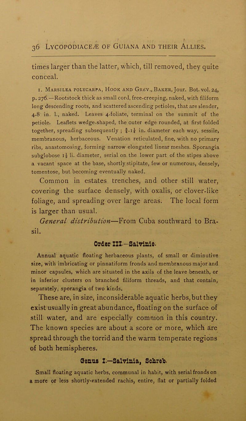 times larger than the latter, which, till removed, they quite conceal. 1. Marsilea polycarpa, Hook and Grev., Baker, Jour. Bot. vol.24, p. 276. — Rootstock thick as small cord, free-creeping, naked, with filiform long descending roots, and scattered ascending petioles, that are slender, 4-8 in, 1., naked. Leaves 4-foliate, terminal on the summit of the petiole. Leaflets wedge-shaped, the outer edge rounded, at first folded together, spreading subsequently ; in. diameter each way, sessile, membranous, herbaceous. Venation reticulated, fine, with no primary ribs, anastomosing, forming narrow elongated linear meshes. Sporangia subglobose x j li. diameter, serial on the lower part of the stipes above a vacant space at the base, shortly stipitate, few or numerous, densely, tomentose, but becoming eventually naked. Common in estates trenches, and other still water, covering the surface densely, with oxalis, or clover-like foliage, and spreading over large areas. The local form is larger than usual. General distribution—From Cuba southward to Bra- sil. Order XII—Salvinie. Annual aquatic floating herbaceous plants, of small or diminutive size, with imbricating or pinnatiform fronds and membranous major and minor capsules, which are situated in the axils of the leave beneath, or in inferior clusters on branched filiform threads, and that contain, separately, sporangia of two kinds, These are, in size, inconsiderable aquatic herbs, but they exist usually in great abundance, floating on the surface of still water, and are especially common in this country. The known species are about a score or more, which are spread through the torrid and the wTarm temperate regions of both hemispheres. Genus I.—Salvinia, Schreb- Small floating aquatic herbs, communal in habit, with serial fronds on a more or less shortly-extended rachis, entire, flat or partially folded