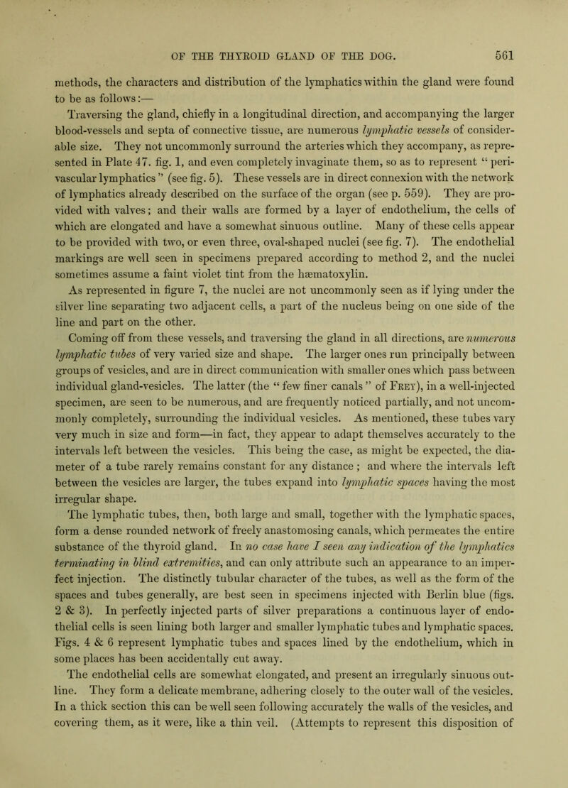 methods, the characters and distribution of the lymphatics within the gland were found to be as follows:— Traversing the gland, chiefly in a longitudinal direction, and accompanying the larger blood-vessels and septa of connective tissue, are numerous lymphatic vessels of consider- able size. They not uncommonly surround the arteries which they accompany, as repre- sented in Plate 47. fig. 1, and even completely invaginate them, so as to represent “ peri- vascular lymphatics ” (see fig. 5). These vessels are in direct connexion with the network of lymphatics already described on the surface of the organ (see p. 559). They are pro- vided with valves; and their walls are formed by a layer of endothelium, the cells of which are elongated and have a somewhat sinuous outline. Many of these cells appear to be provided with two, or even three, oval-shaped nuclei (see fig. 7). The endothelial markings are well seen in specimens prepared according to method 2, and the nuclei sometimes assume a faint violet tint from the hsematoxylin. As represented in figure 7, the nuclei are not uncommonly seen as if lying under the silver line separating two adjacent cells, a part of the nucleus being on one side of the line and part on the other. Coming off from these vessels, and traversing the gland in all directions, are numerous lymphatic tubes of very varied size and shape. The larger ones run principally between groups of vesicles, and are in direct communication with smaller ones which pass between individual gland-vesicles. The latter (the “ few finer canals ” of Frey), in a well-injected specimen, are seen to be numerous, and are frequently noticed partially, and not uncom- monly completely, surrounding the individual vesicles. As mentioned, these tubes vary very much in size and form—in fact, they appear to adapt themselves accurately to the intervals left between the vesicles. This being the case, as might be expected, the dia- meter of a tube rarely remains constant for any distance ; and where the intervals left between the vesicles are larger, the tubes expand into lymphatic spaces having the most irregular shape. The lymphatic tubes, then, both large and small, together with the lymphatic spaces, form a dense rounded network of freely anastomosing canals, which permeates the entire substance of the thyroid gland. In no case have I seen any indication of the lymphatics tey'minating in blind extremities, and can only attribute such an appearance to an imper- fect injection. The distinctly tubular character of the tubes, as well as the form of the spaces and tubes generally, are best seen in specimens injected with Berlin blue (figs. 2 & 3). In perfectly injected parts of silver preparations a continuous layer of endo- thelial cells is seen lining both larger and smaller lymphatic tubes and lymphatic spaces. Figs. 4 & 6 represent lymphatic tubes and spaces lined by the endothelium, which in some places has been accidentally cut away. The endothelial cells are somewhat elongated, and present an irregularly sinuous out- line. They form a delicate membrane, adhering closely to the outer wall of the vesicles. In a thick section this can be well seen following accurately the walls of the vesicles, and covering them, as it were, like a thin veil. (Attempts to represent this disposition of