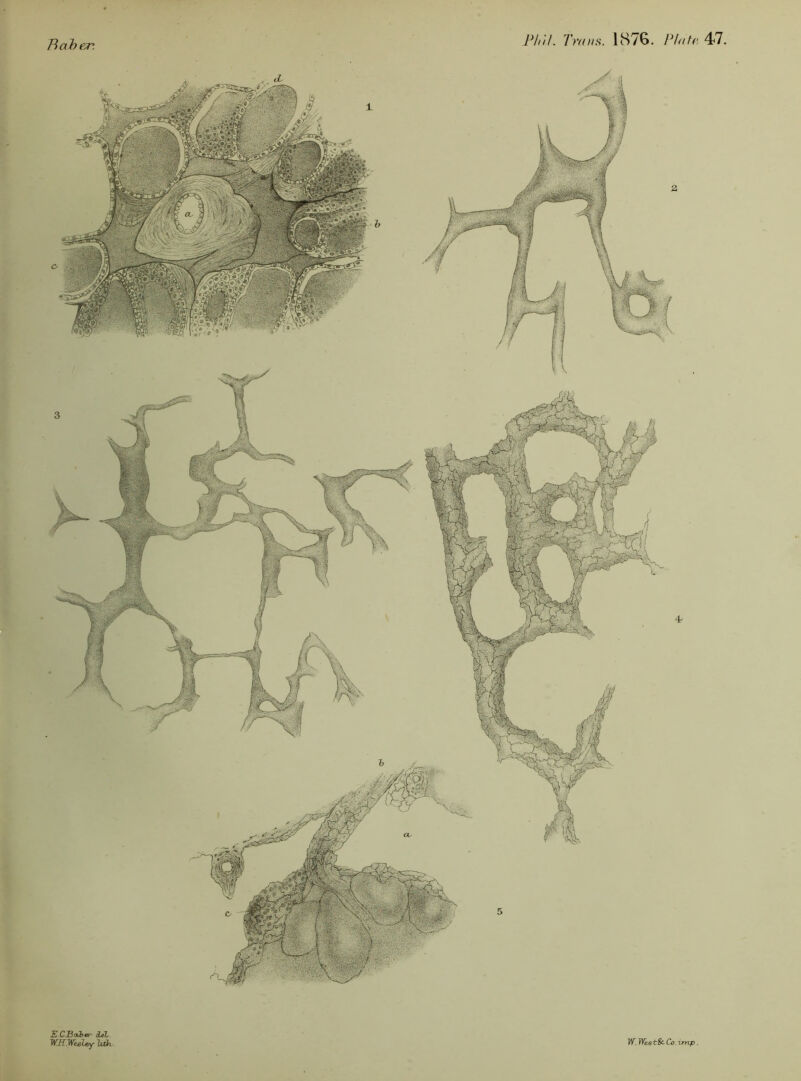Haber. E C.Baber deZ WH.WesleyUth- W.WtetScCc.-vnvp.
