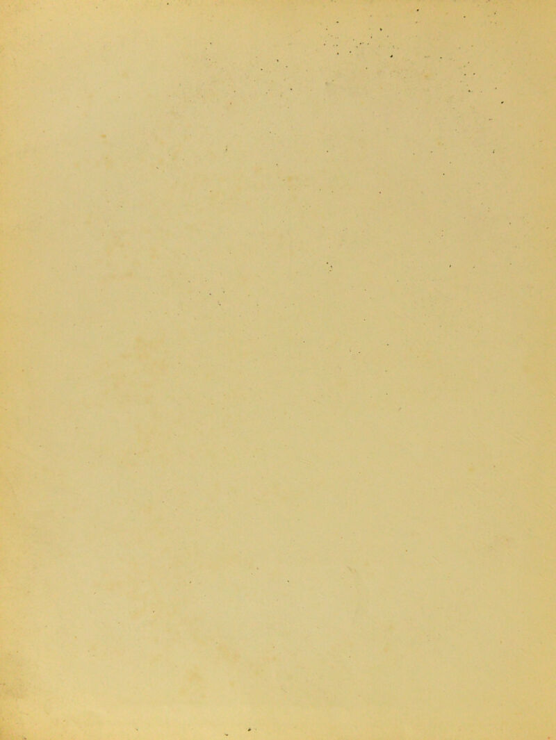 r. y 'Jtf ) •4 »■ ' n- A \ fj