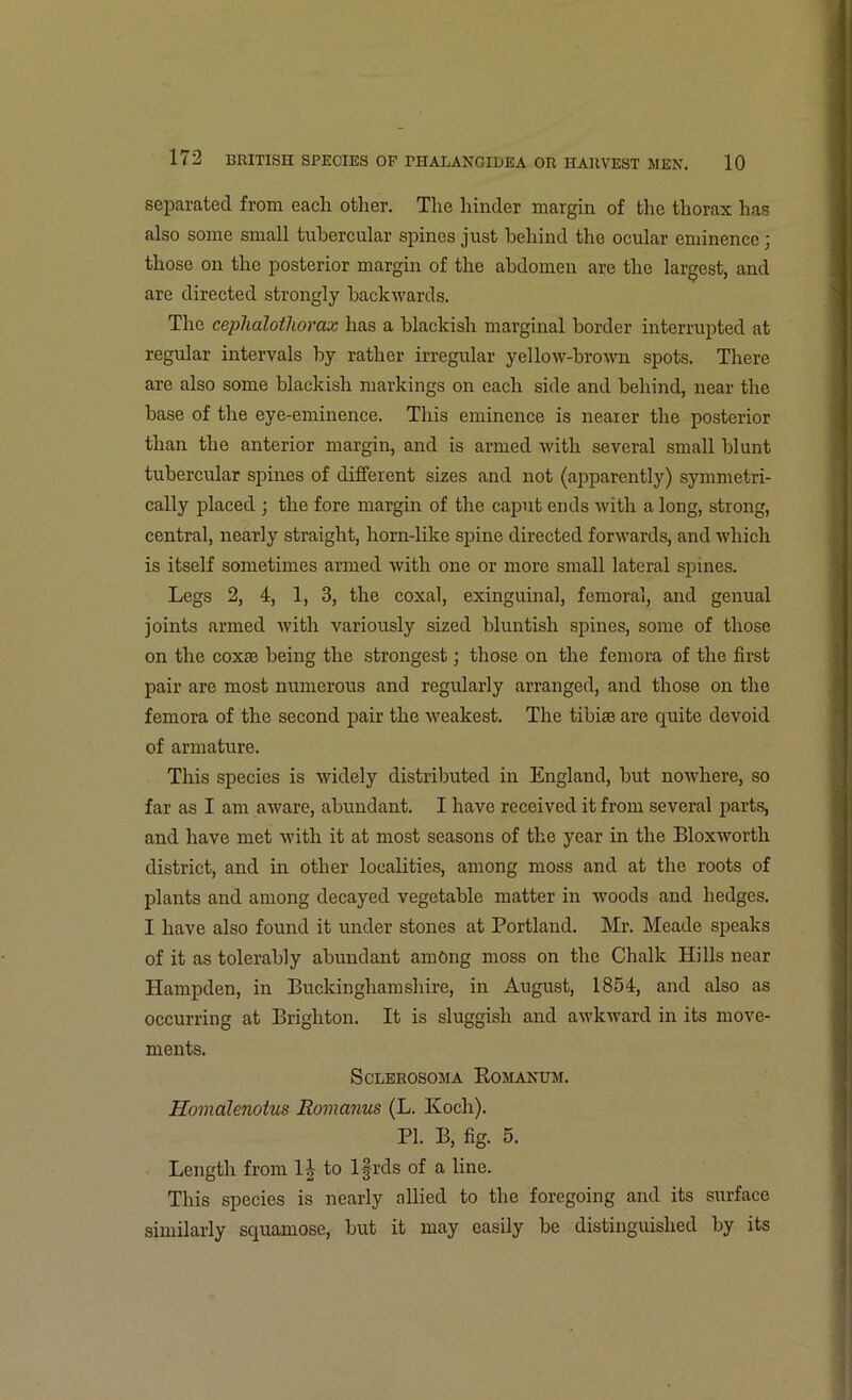separated from each other. The hinder margin of the thorax has also some small tubercular spines just behind the ocular eminence; those on the posterior margin of the abdomen are the largest, and are directed strongly backwards. The cephalotliorax has a blackish marginal border interrupted at regular intervals by rather irregular yellow-brown spots. There are also some blackish markings on each side and behind, near the base of the eye-eminence. This eminence is nearer the posterior than the anterior margin, and is armed with several small blunt tubercular spines of different sizes and not (apparently) symmetri- cally placed • the fore margin of the caput ends with a long, strong, central, nearly straight, horn-like spine directed forwards, and which is itself sometimes armed with one or more small lateral spines. Legs 2, 4, 1, 3, the coxal, exinguinal, femoral, and genual joints armed with variously sized bluntish spines, some of those on the coxae being the strongest; those on the femora of the first pair are most numerous and regularly arranged, and those on the femora of the second pair the weakest. The tibiae are quite devoid of armature. This species is widely distributed in England, but nowhere, so far as I am aware, abundant. I have received it from several parts, and have met with it at most seasons of the year in the Bloxworth district, and in other localities, among moss and at the roots of plants and among decayed vegetable matter in woods and hedges. I have also found it under stones at Portland. Mr. Meade speaks of it as tolerably abundant among moss on the Chalk Hills near Hampden, in Buckinghamshire, in August, 1854, and also as occurring at Brighton. It is sluggish and awkward in its move- ments. ScLEROSOMA KoMANTJM. Homalenotus Romanus (L. Koch). PL B, fig. 5. Length from 1^ to l|-rds of a line. This species is nearly allied to the foregoing and its surface similarly squamose, but it may easily be distinguished by its