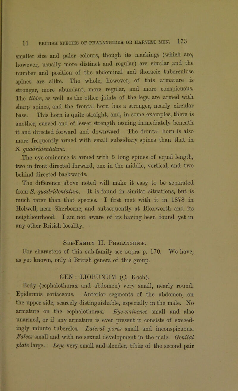 smaller size and paler colours, though its markings (which are, however, usually more distinct and regular) are similar and the number and position of the abdominal and thoracic tubcrculose spines are alike. The whole, however, of this armature is stronger, more abundant, more regular, and more conspicuous. The tibia', as well as the other joints of the legs, are armed with sharp spines, and the frontal horn has a stronger, nearly circular base. This horn is quite straight, and, in some examples, there is another, curved and of lesser strength issuing immediately beneath it and directed forward and downward. The frontal horn is also more frequently armed with small subsidiary spines than that in S. quadriclentatum. The eye-eminence is armed with 5 long spines of equal length, two in front directed forward, one in the middle, vertical, and two behind directed backwards. The difference above noted will make it easy to be separated from S. quadrulentahim. It is found in similar situations, but is much rarer than that species. I first met with it in 1878 in Holwell, near Sherborne, and subsequently at Bloxworth and its neighbourhood. I am not aware of its having been found yet in any other British locality. Sub-Family II. Phalangiinle. For characters of this sub-family see supra p. 170. We have, as yet known, only 5 British genera of this group. GEN : LIOBUNUM (C. Koch). Body (cephalothorax and abdomen) very small, nearly round. Epidermis coriaceous. Anterior segments of the abdomen, on the upper side, scarcely distinguishable, especially in the male. No armature on the cephalothorax. Eye-eminence small and also unarmed, or if any armature is ever present it consists of exceed- ingly minute tubercles. Lateral pores small and inconspicuous. Falces small and with no sexual development in the male. Genital plate large. Leys very small and slender, tibiae of the second pair
