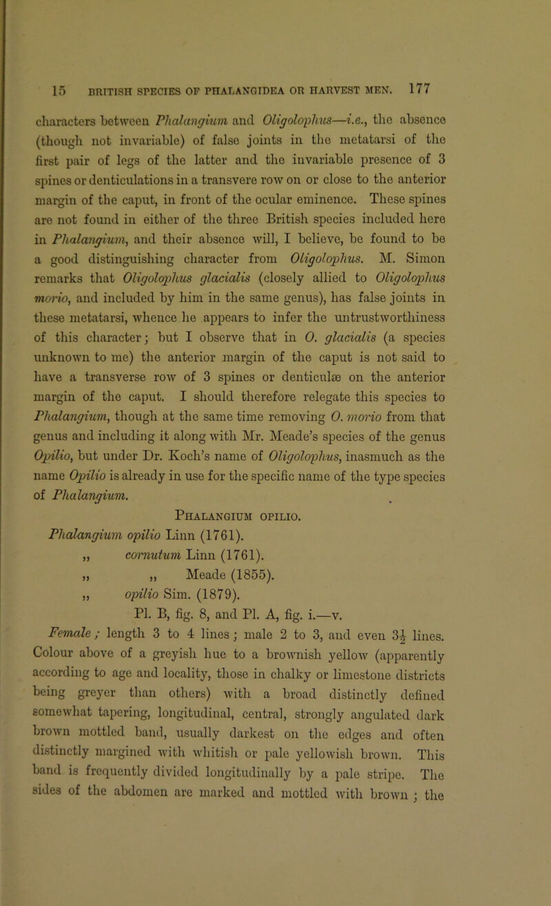 characters between Phalangium and Oligolophus—i.e., the absence (though not invariable) of false joints in tho metatarsi of the first pair of legs of tho latter and the invariable presence of 3 spines or denticulations in a transvere row on or close to the anterior margin of the caput, in front of the ocular eminence. These spines are not found in either of the three British species included here in Phalangium, and their absence will, I believe, be found to be a good distinguishing character from Oligolophus. M. Simon remarks that Oligolophus glacialis (closely allied to Oligolophus mono, and included by him in the same genus), has false joints in these metatarsi, whence he appears to infer the untrustworthiness of this character; but I observe that in 0. glacialis (a species unknown to me) the anterior margin of the caput is not said to have a transverse row of 3 spines or denticulse on the anterior margin of the caput. I should therefore relegate this species to Phalangium, though at the same time removing 0. mono from that genus and including it along with Mr. Meade’s species of the genus Opilio, but under Dr. Ivoch’s name of Oligolophus, inasmuch as the name Opilio is already in use for the specific name of the type species of Phalangium. Phalangium opilio. Phalangium opilio Linn (1761). „ cornutum Linn (1761). „ „ Meade (1855). „ opilio Sim. (1879). PI. B, fig. 8, and PI. A, fig. i.—v. Female; length 3 to 4 lines; male 2 to 3, and even 3£ lines. Colour above of a greyish hue to a brownish yellow (apparently according to age and locality, those in chalky or limestone districts being greyer than others) with a broad distinctly defined somewhat tapering, longitudinal, central, strongly angulated dark brown mottled band, usually darkest on the edges and often distinctly margined with whitish or pale yellowish brown. This band is frequently divided longitudinally by a pale stripe. The sides of the abdomen are marked and mottled with brown ; the