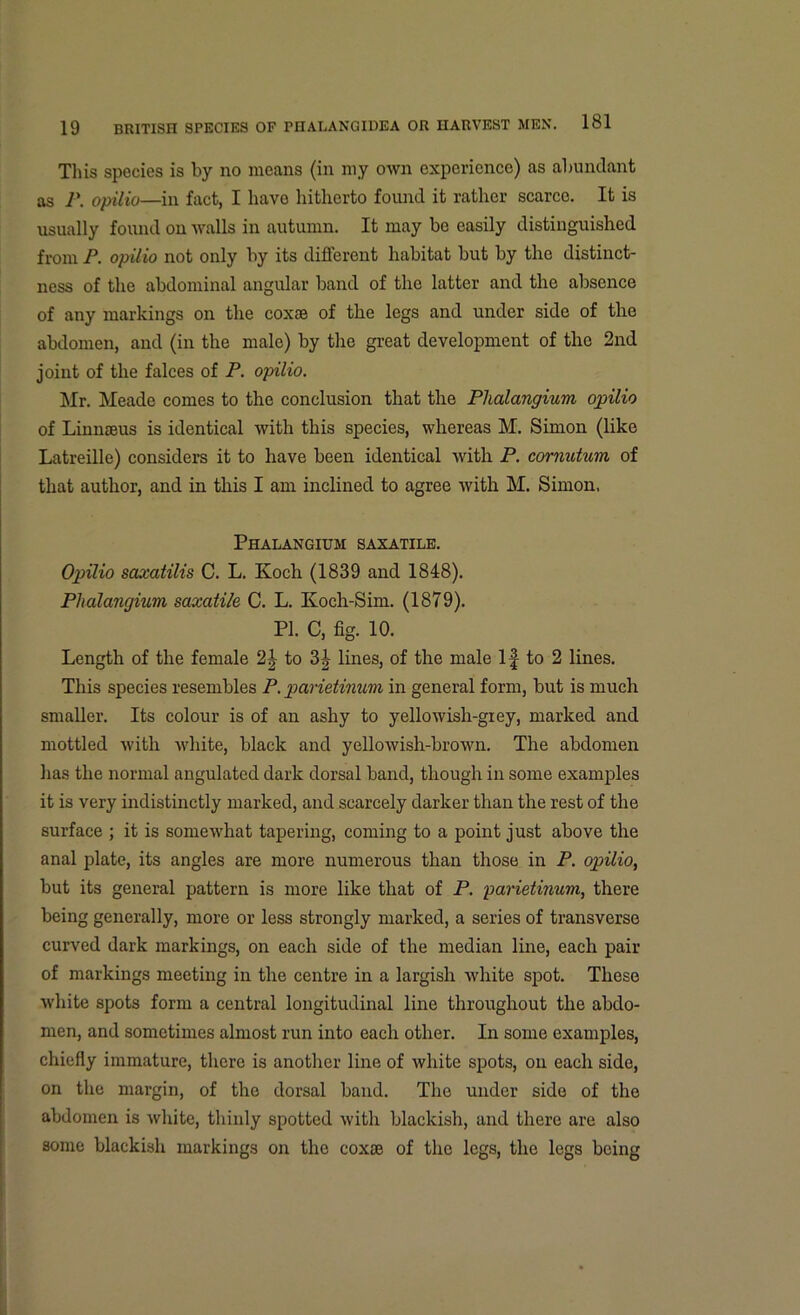 This species is by no means (in my own experience) as abundant as /*. opilio—in fact, I have hitherto found it rather scarce. It is usually found on walls in autumn. It may be easily distinguished from P. opilio not only by its different habitat but by the distinct- ness of the abdominal angular band of the latter and the absence of any markings on the coxse of the legs and under side of the abdomen, and (in the male) by the great development of the 2nd joint of the falces of P. opilio. Mr. Meade comes to the conclusion that the Plialangium opilio of Linnaeus is identical with this species, whereas M. Simon (like Latreille) considers it to have been identical with P. cornutum of that author, and in this I am inclined to agree with M. Simon. Phalangium saxatile. Opilio saxatilis C. L. Koch (1839 and 1848). Phalangium saxatile C. L. Koch-Sim. (1879). PI. C, fig. 10. Length of the female 2-| to 3J lines, of the male If to 2 lines. This species resembles P. parietinum in general form, but is much smaller. Its colour is of an ashy to yellowish-grey, marked and mottled with white, black and yellowish-brown. The abdomen has the normal angulated dark dorsal band, though in some examples it is very indistinctly marked, and scarcely darker than the rest of the surface ; it is somewhat tapering, coming to a point just above the anal plate, its angles are more numerous than those in P. opilio, but its general pattern is more like that of P. parietinum, there being generally, more or less strongly marked, a series of transverse curved dark markings, on each side of the median line, each pair of markings meeting in the centre in a largish white spot. These white spots form a central longitudinal line throughout the abdo- men, and sometimes almost run into each other. In some examples, chiefly immature, there is another line of white spots, on each side, on the margin, of the dorsal band. The under side of the abdomen is white, thinly spotted with blackish, and there are also some blackish markings on the coxse of the legs, the legs being