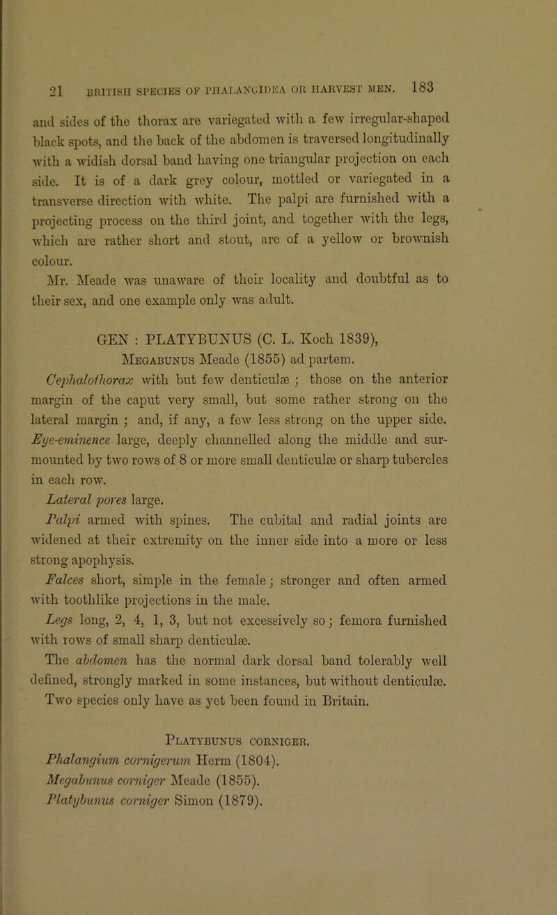 and sides of the thorax are variegated with a few irregular-shaped black spots, and the hack of the abdomen is traversed longitudinally with a widish dorsal band having one triangular projection on each side. It is of a dark grey colour, mottled or variegated in a transverse direction with white. The palpi are furnished with a projecting process on the third joint, and together with the legs, which are rather short and stout, are of a yellow or brownish colour. Mr. Meade was unaware of their locality and doubtful as to their sex, and one example only was adult. GEN : PLATYBUNUS (C. L. Koch 1839), Megabunus Meade (1855) acl partem. Cephalotliorax with but few denticulse ; those on the anterior margin of the caput very small, but some rather strong on the lateral margin ; and, if any, a few less strong on the upper side. Eye-eminence large, deeply channelled along the middle and sur- mounted by two rows of 8 or more small denticuke or sharp tubercles in each row. Lateral pores large. Palpi armed with spines. The cubital and radial joints are widened at their extremity on the inner side into a more or less strong apophysis. Falces short, simple in the female; stronger and often armed with toothlike projections in the male. Legs long, 2, 4, 1, 3, but not excessively so; femora furnished with rows of small sharp denticulse. The abdomen has the normal dark dorsal band tolerably well defined, strongly marked in some instances, but without denticulse. Two species only have as yet been found in Britain. Platybunus corniger. Phalangium cornigerum Ilerm (1804). Megabunus corniger Meade (1855). Platybunus corniger Simon (1879).