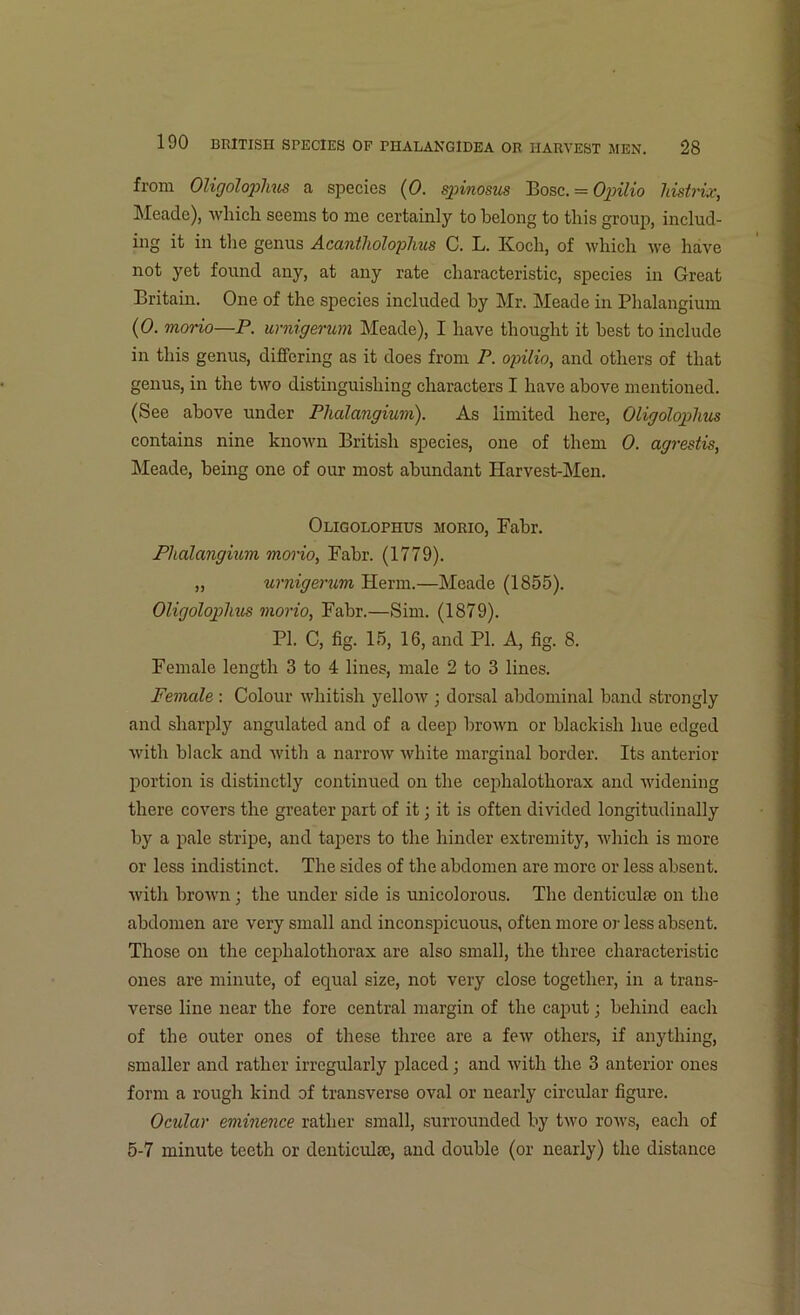 from Oligolophus a species (0. spinosus Bose. = Opilio histrix, Meade), which seems to me certainly to belong to this group, includ- ing it in the genus Acantholophus C. L. Koch, of which we have not yet found any, at any rate characteristic, species in Great Britain. One of the species included by Mr. Meade in Phalangium (0. morio—P. urnigerum Meade), I have thought it best to include in this genus, differing as it does from P. opilio, and others of that genus, in the two distinguishing characters I have above mentioned. (See above under Phalangium). As limited here, Oligolophus contains nine known British species, one of them 0. agrestis, Meade, being one of our most abundant Harvest-Men. Oligolophus morio, Fabr. Phalangium morio, Fabr. (1779). „ urnigerum Herm.—Meade (1855). Oligolophus morio, Fabr.—Sim. (1879). PI. C, fig. 15, 16, and PI. A, fig. 8. Female length 3 to 4 lines, male 2 to 3 lines. Female : Colour whitish yellow ; dorsal abdominal band strongly and sharply angulated and of a deep brown or blackish hue edged with black and with a narrow white marginal border. Its anterior portion is distinctly continued on the cephalothorax and widening there covers the greater part of it; it is often divided longitudinally by a pale stripe, and tapers to the hinder extremity, which is more or less indistinct. The sides of the abdomen are more or less absent, with brown; the under side is unicolorous. The denticuke on the abdomen are very small and inconspicuous, often more or less absent. Those on the cephalothorax are also small, the three characteristic ones are minute, of equal size, not very close together, in a trans- verse line near the fore central margin of the caput; behind each of the outer ones of these three are a few others, if anything, smaller and rather irregularly placed; and with the 3 anterior ones form a rough kind of transverse oval or nearly circular figure. Ocular eminence rather small, surrounded by two rows, each of 5-7 minute teeth or denticulse, and double (or nearly) the distance