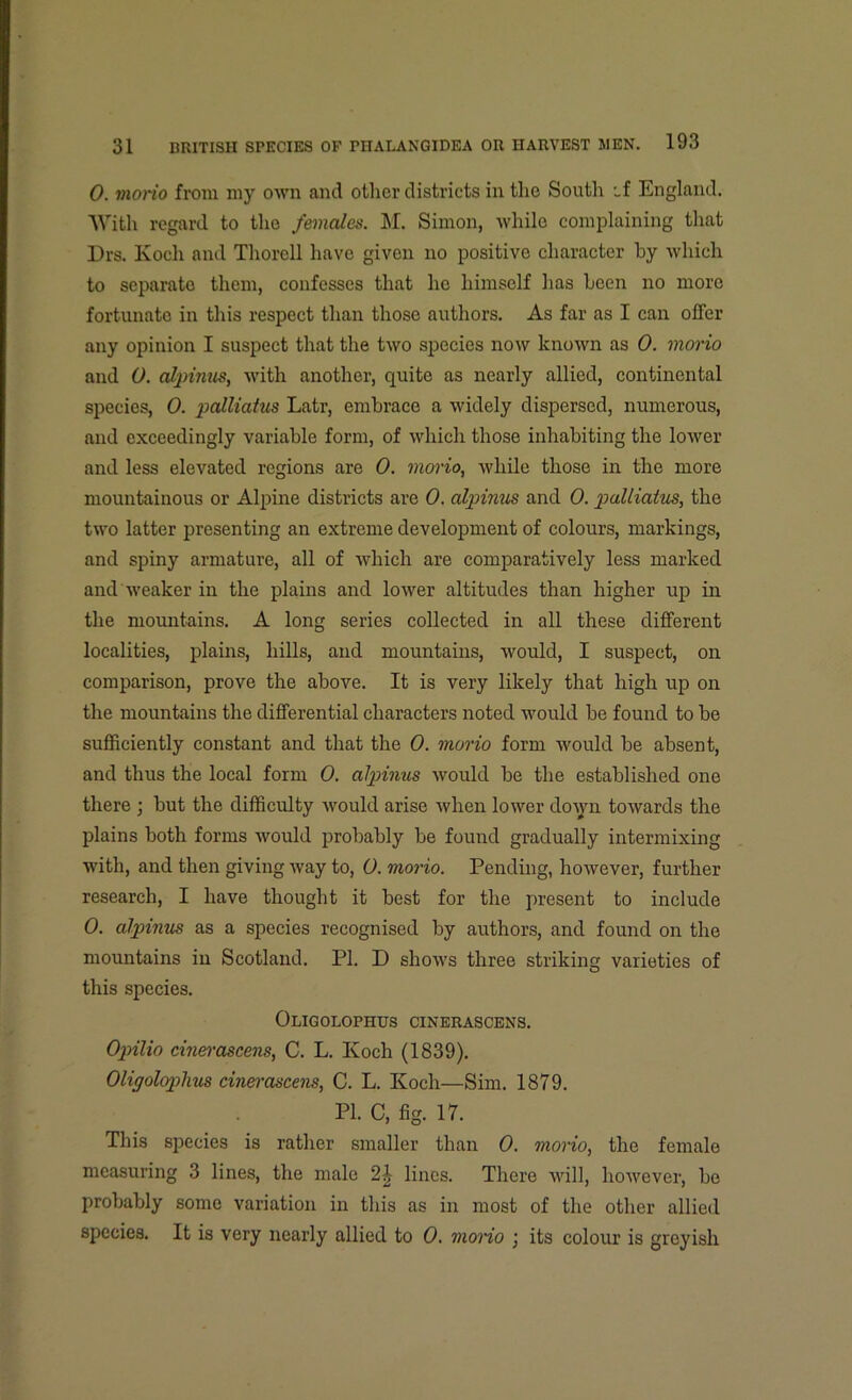 0. mono from my own and other districts in the South cf England. With regard to the females. M. Simon, while complaining that Drs. Koch and Thorell have given no positive character by which to separate them, confesses that lie himself has been no more fortunate in this respect than those authors. As far as I can offer any opinion I suspect that the two species now known as 0. morio and 0. alpinus, with another, quite as nearly allied, continental species, 0. palliaius Latr, embrace a widely dispersed, numerous, and exceedingly variable form, of which those inhabiting the lower and less elevated regions are 0. morio, while those in the more mountainous or Alpine districts are 0. alpinus and 0. palliatus, the two latter presenting an extreme development of colours, markings, and spiny armature, all of which are comparatively less marked and weaker iii the plains and lower altitudes than higher up in the mountains. A long series collected in all these different localities, plains, hills, and mountains, would, I suspect, on comparison, prove the above. It is very likely that high up on the mountains the differential characters noted would be found to be sufficiently constant and that the 0. morio form would be absent, and thus the local form 0. alpinus would be the established one there ; but the difficulty would arise when lower clown towards the plains both forms would probably be found gradually intermixing with, and then giving way to, 0. morio. Pending, however, further research, I have thought it best for the present to include 0. alpinus as a species recognised by authors, and found on the mountains in Scotland. PI. D shows three striking varieties of this species. Oligolophus cinerascens. Opilio cinerascens, C. L. Koch (1839). Oligolop>hus cinerascens, C. L. Koch—Sim. 1879. PI. C, fig. 17. This species is rather smaller than 0. morio, the female measuring 3 lines, the male 2^ lines. There will, however, be probably some variation in this as in most of the other allied species. It is very nearly allied to 0. mono ; its colour is groyish