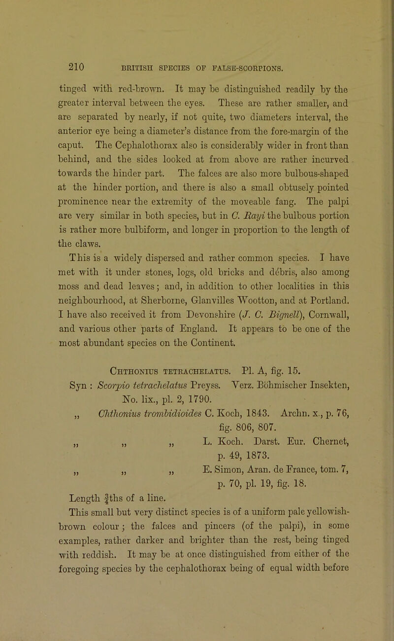 tinged -with red-brown. It may be distinguished readily by the greater interval between the eyes. These are rather smaller, and are separated by nearly, if not quite, two diameters interval, the anterior eye being a diameter’s distance from the fore-margin of the caput. The Cephalothorax also is considerably wider in front than behind, and the sides looked at from above are rather incurved towards the hinder part. The falces are also more bulbous-shaped at the hinder portion, and there is also a small obtusely pointed prominence near the extremity of the moveable fang. The palpi are very similar in both species, but in C. Rayi the bulbous portion is rather more bulbiform, and longer in proportion to the length of the claws. This is a widely dispersed and rather common species. I have met with it under stones, logs, old bricks and debris, also among moss and dead leaves; and, in addition to other localities in this neighbourhood, at Sherborne, Glanvilles Wootton, and at Portland. I have also received it from Devonshire (J. C. Bignell), Cornwall, and various other parts of England. It appears to be one of the most abundant species on the Continent. Chthonius tetrachelatus. PI. A, fig. 15. Syn : Scorpio tetrachelatus Preyss. Verz. Bohmischer Insekten, No. lix., pi. 2, 1790. ,, Chthonius trombidioides C. Koch, 1843. Archn. x., p. 76, fig. 806, 807. ,, „ „ L. Koch. Darst. Eur. Chernet, p. 49, 1873. „ „ ,, E. Simon, Aran, de France, tom. 7, p. 70, pi. 19, fig. 18. Length fths of a line. This small but very distinct species is of a uniform pale yellowish- brown colour; the falces and pincers (of the palpi), in some examples, rather darker and brighter than the rest, being tinged with reddish. It may be at once distinguished from either of the foregoing species by the cephalothorax being of equal width before