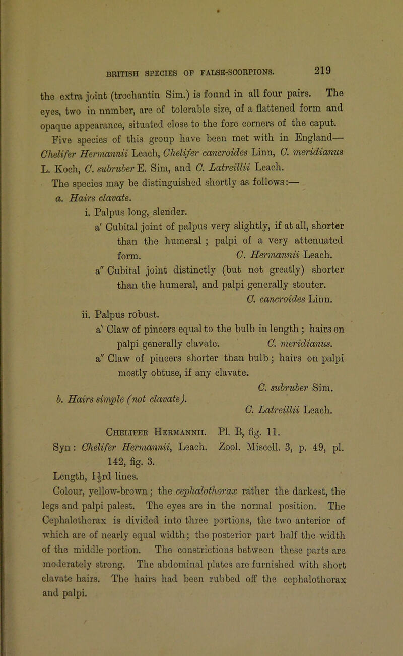 the extra joint (trochantin Sira.) is found in all four pairs. The eyes, two in nnrahor, are of tolerable size, of a flattened form and opaque appearance, situated close to the fore corners of the caput. Five species of this group have been met with in England— Chelifer Hermannii Leach, Chelifer cancroides Linn, C. meridianus L. Koch, G. subruber E. Sim, and G. Latreillii Leach. The species may be distinguished shortly as follows:— a. Hairs clavate. i. Palpus long, slender. a' Cubital joint of palpus very slightly, if at all, shorter than the humeral ; palpi of a very attenuated form. C. Hermannii Leach, a Cubital joint distinctly (but not greatly) shorter than the humeral, and palpi generally stouter. G. cancroides Linn. ii. Palpus robust. a' Claw of pincers equal to the bulb in length; hairs on palpi generally clavate. C. meridianus. a Claw of pincers shorter than bulb; hairs on palpi mostly obtuse, if any clavate. C. subruber Sim. b. Hairs simple (not clavate). C. Latreillii Leach. Chelifer Hermannii. PL B, fig. 11. Syn : Chelifer Hermannii, Leach. Zool. Miscell. 3, p. 49, pi. 142, fig. 3. Length, l^rd lines. Colour, yellow-brown; the cephalothorax rather the darkest, the legs and palpi palest. The eyes are in the normal position. The Cephalothorax is divided into three portions, the two anterior of which are of nearly equal width; the posterior part half the width of the middle portion. The constrictions between these parts are moderately strong. The abdominal plates are furnished with short clavate hairs. The hairs had been rubbed off the cephalothorax and palpi.
