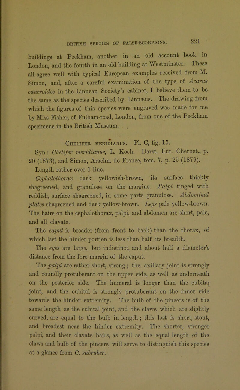 buildings at Peckham, another in an old account book in London, and the fourth in an old building at Westminster. These all agree well with typical European examples received from M. Simon, and, after a careful examination of the type of Acarus cancroides in the Linnean Society’s cabinet, I believe them to be the same as the species described by Linnaeus. The drawing from which the figures of this species were engraved was made for me by Miss Fisher, of Fulham-road, London, from one of the Peckham specimens in the British Museum. Chelifer meridianus. PI. C, fig. 15. Syn: Chelifer meridianus, L. Ivoch. Darst. Eur. Chernet., p. 20 (1873), and Simon, Arachn. de France, tom. 7, p. 25 (1879). Length rather over 1 line. Cephalothorax dark yellowish-brown, its surface thickly shagreened, and granulose on the margins. Palpi tinged with reddish, surface shagreened, in some parts granulose. Abdominal plates shagreened and dark yellow-brown. Legs pale yellow-brown. The hairs on the cephalothorax, palpi, and abdomen are short, pale, and all clavate. The caput is broader (from front to back) than the thorax, of which last the hinder portion is less than half its breadth. The eges are large, but indistinct, and about half a diameter’s distance from the fore margin of the caput. The palpi are rather short, strong; the axillary joint is strongly and roundly protuberant on the upper side, as well as underneath on the posterior side. The humeral is longer than the cubitaj joint, and the cubital is strongly protuberant on the inner side towards the hinder extremity. The bulb of the pincers is of the same length as the cubital joint, and the claws, which are slightly curved, are equal to the bulb in length; this lost is short, stout, and broadest near the hinder extremity. The shorter, stronger palpi, and their clavate hairs, as well as the equal length of the claws and bulb of the pincers, will serve to distinguish this species at a glance from C. subruber.