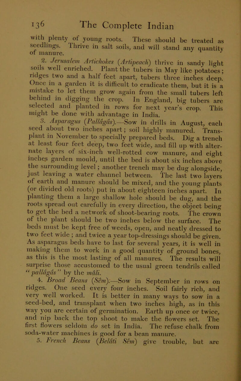 with plenty of young roots. These should be treated as seedlings. Ihrive in salt soils, and will stand any quantity ot manure. 2. Jerusalem Artichokes {Artipeacli) thrive in sandy light soils well enriched. Plant the tubers in May like potatoes; ridges two and a half feet apart, tubers three inches deep. Once in a garden it is difficult to eradicate them, but it is a mistake to let them grow again from the small tubers left behind in digging the crop. In England, big tubers are selected and planted in rows for next year’s crop. This might be done with advantage in India. .3. Asparagus {l^allagas').—Sow in drills in August, each seed about two inches apart; soil highly manured. Trans- plant in November to specially prepared beds. Dig a trench at least four feet deeji, two feet wide, and fill up with alter- nate layers of six-inch well-rotted coav manure, and eight inche.s garden mould, until the bed is about six inches above pie sui rounding level; another trench may be dug alongside, just leaving a water channel between. The last two layers of earth and manure should be mixed, and the young plants (or divided old roots) put in about eighteen inches apart. In planting them a large shallow hole should be dug, and the loots spread out carefully in every direction, the object being to get the bed a network of shoot-bearing roots. The crown of the plant should be two inches below the surface. The beds must be kept free of weeds, o]ien, and neatly dressed to two feet wide ; and twice a year top-dressings should be given. As asparagus beds have to last for several years, it is well in making them to work in a good quantity of ground bones, as this is the most lasting of all manures. The results will surprise those accustomed to the usual green tendrils called “ pallagus ” by the mMi. 4. Broad Beans (Sem).—Sow in September in rows on ridges. One seed every four inches. Soil fairly rich, and very well worked. It is better in many ways to sow in a seed-bed, and transjilant when two inches high, as in this way you are certain of germination. Earth up once or twice, and nip back the top shoot to make the flowers set. The first flowers seldoln do set in India. The refuse chalk from soda-water machines is good for a bean manure. 5. French Beans (^Beldti Send) give trouble, but are
