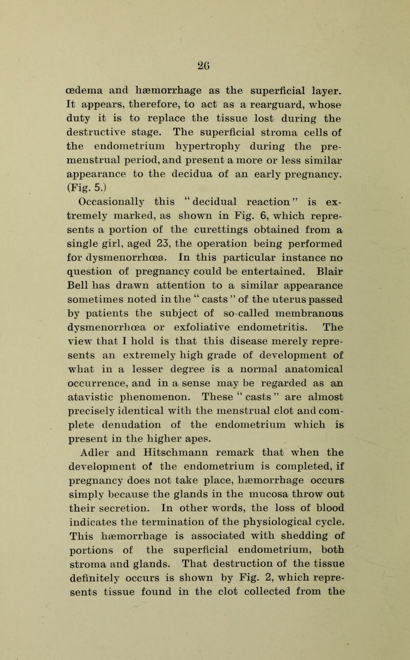 oedema and haemorrhage as the superficial layer. It appears, therefore, to act as a rearguard, whose duty it is to replace the tissue lost during the destructive stage. The superficial stroma cells of the endometrium hypertrophy during the pre- menstrual period, and present a more or less similar appearance to the decidua of an early pregnancy. (Fig. 5.) Occasionally this “ decidual reaction ” is ex- tremely marked, as shown in Fig. 6, which repre- sents a portion of the curettings obtained from a single girl, aged 23, the operation being performed for dysmenorrhoea. In this particular instance no question of pregnancy could be entertained. Blair Bell has drawn attention to a similar appearance sometimes noted in the “ casts ” of the uterus passed by patients the subject of so-called membranous dysmenorrhoea or exfoliative endometritis. The view that I hold is that this disease merely repre- sents an extremely high grade of development of what in a lesser degree is a normal anatomical occurrence, and in a sense may be regarded as an atavistic phenomenon. These “ casts ” are almost precisely identical with the menstrual clot and com- plete denudation of the endometrium which is present in the higher apes. Adler and Hitschmann remark that when the development of the endometrium is completed, if pregnancy does not take place, haemorrhage occurs simply because the glands in the mucosa throw out their secretion. In other words, the loss of blood indicates the termination of the physiological cycle. This haemorrhage is associated with shedding of portions of the superficial endometrium, both stroma and glands. That destruction of the tissue definitely occurs is shown by Fig. 2, which repre- sents tissue found in the clot collected from the