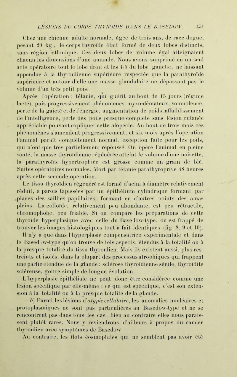 Chez une chienne adulte normale, agee cle trois ans, cle race dogue, pesant 20 kg., le corps thyroide etait forme de deux lobes dislincts, sans region isthmique. Ces deux lobes de volume 6gal alleignaient chacun les dimensions d’une amande. Nous avons supprime en un seul acte operatoire tout le lobe droit et les 4/5 du lobe gauche, ne laissant appendue a la thyroidienne superieure respectee que la parathyroi'de superieure et autour d’elle une masse glandulaire ne depassant pas le volume d’un tres petit pois. Apres l’operation : tetanie, qui guerit au bout de 15 jours (regime lacte), puis progressivement phenomenes myxoedemateux, somnolence, perte de la gaiete etdel’energie, augmentation de poids, affaiblissement de l’intelligence, perte des poils presque complete sans lesion cutanee appreciable pouvant expliquer cette alopecie. An bout de trois mois ces phenomenes s’amendent progressivement, et six mois apres l’operation l’animal parait completement normal, exception faite pour les poils, qui n’ont que tres partiellement repousse On opere l’animal en pleine sante, la masse thyroidienne regener^e atteint le volume d une noisette, la parathyroi'de hypertrophiee est grosse comme un grain de ble. Suites operatoires normales. Mort par tetanie parathyropri\e 48 heures apres cette seconde operation. Le tissu thyroidien regenere est forme d’acini a diametre relativement reduit, a parois tapissees par un epithelium cylindrique formant par places des saillies papillaires, formant en d’autres points des amas pleins. La colloide, relativement peu abondante, est peu retractile, chromophobe, peu friable. Si on compare les preparations de cette thyroide hyperplasique avec celle du Basedow-type, on est frappe de trouver les images histologiques tout a fait identiques (fig. 8, 9 et 10). II n’y a que dans Fhyperplasie compensatrice experimenlale et dans le Based .w-type qu’on trouve de tels aspects, etendus a la totalite ou a la presque totalite du tissu thyroidien. Mais ils existent aussi, plus res- treints et isoles, dans la plupart des processusatrophiques qui frappent une partie etendue de la glande : sclerose thyroidienne senile, thyroidite sclereuse, goitre.simple de longue evolution. L’hyperplasie epitheliale ne peut done etre consideree comme une lesion specifique par elle-meme : ce qui est specifique, e’est son exten- sion a la totalite ou a la presque totalite de la glande. — b) Parmi les lesions d’atypie cellulaire, les anomalies nucleaires et protoplasmiques ne sont pas particulieres au Basedow-type et ne se rencontrent pas dans tous les cas; bien au contraire elles nous parais- sent plutot rares. Nous y reviendrons d’ailleurs a propos du cancer thyroidien avec symptomes de Basedow. Au contraire, les dots eosinophiles qui ne semblent pas avoir ete