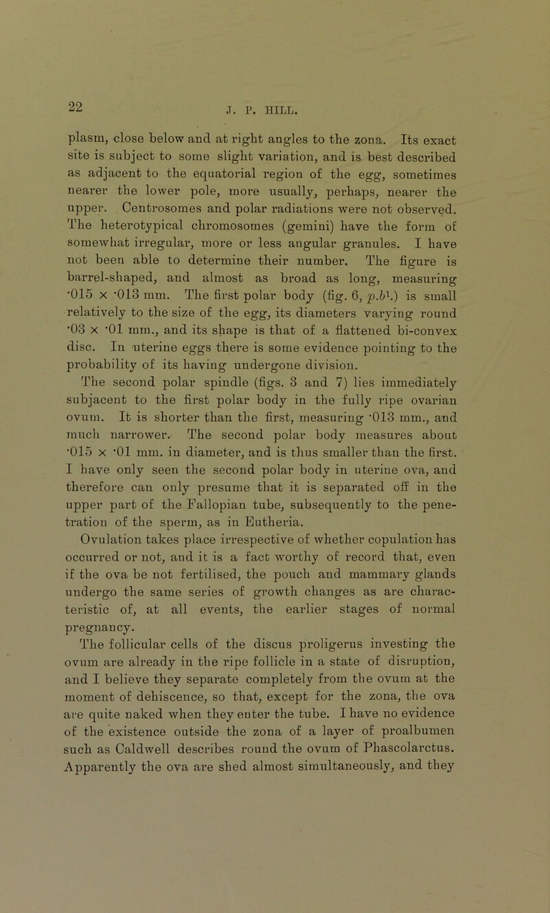 plasm, close below and afc right angles to the zona. Its exact site is subject to some slight variation, and is best described as adjacent to the equatorial region of the egg, sometimes nearer the lower pole, more usually, perhaps, nearer the upper. Centrosomes and polar radiations were not observed. The heterotypical chromosomes (gemini) have the form of somewhat irregular, more or less angular granules. I have not been able to determine their number. The figure is barrel-shaped, and almost as broad as long, measuring *015 X ‘OIS mm. The first polar body (fig. 6, is small relatively to the size of the egg, its diameters varying round •03 X '01 mm., and its shape is that of a flattened bi-convex disc. In uterine eggs thex'e is some evidence pointing to the probability of its having undergone division. The second polar spindle (figs. 3 and 7) lies immediately subjacent to the first polar body in the fully ripe ovarian ovum. It is shorter than the first, measuring '013 mm., and xnuch narrower. The second polar body measures about ’015 X '01 mm. in diameter, and is thus smaller than the first. I have only seen the second polar body in uterine ova, and therefore can only presume that it is sepai’ated off in the upper part of the Fallopian tube, subsequently to the pene- tration of the sperm, as in Eutheria. Ovulation takes place irrespective of whether copulation has occurred or not, and it is a fact Avorbhy of record that, even if the ova be not fertilised, the pouch and mammary glands undergo the same series of growth changes as are charac- teristic of, at all events, the earlier stages of normal pregnancy. The follicular cells of the discus proligerus investing the ovum are already in the ripe follicle in a state of disruption, and I believe they separate completely from the ovum at the moment of dehiscence, so that, except for the zona, the ova are quite naked Avhen they enter the tube. I have no evidence of the existence outside the zona of a layer of proalbumen such as Caldwell describes round the ovum of Phascolarctus. Apparently the ova are shed almost simultaneously, and they