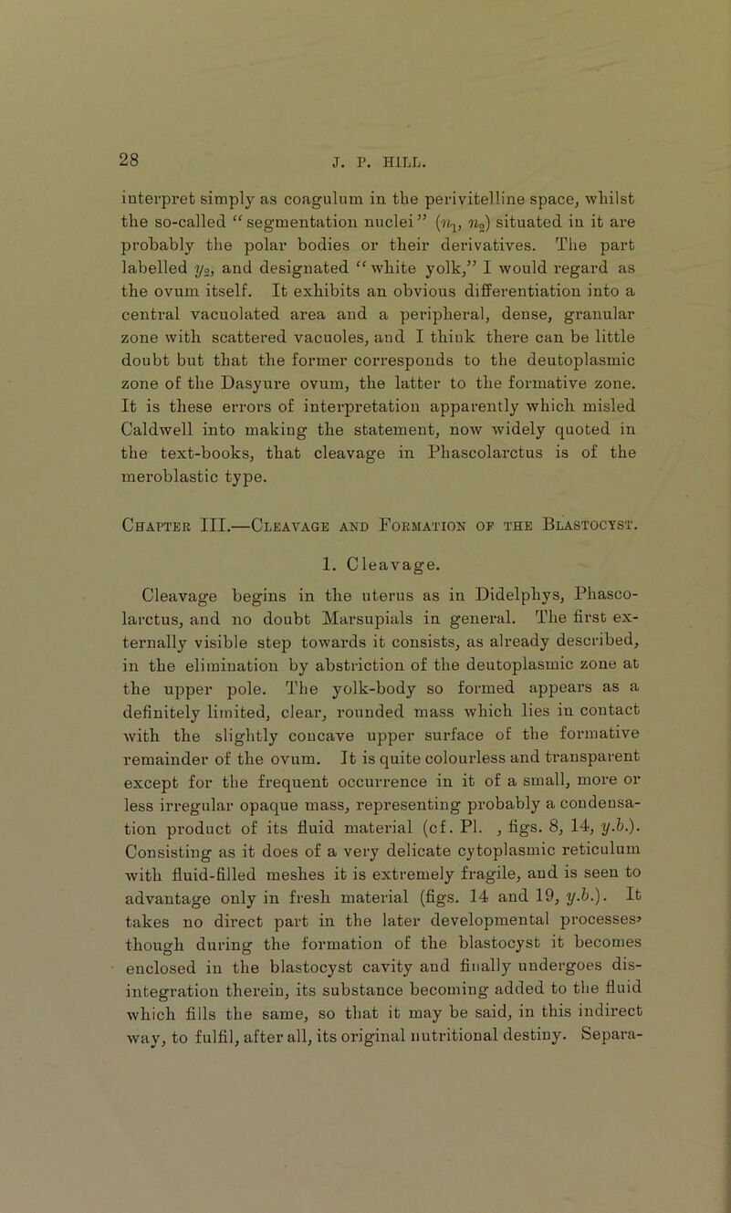interpret simply as coagulum in the perivitelline space, whilst the so-called “ segmentation nuclei ” Ua) situated in it are probably the polar bodies or their derivatives. The part labelled y«, and designated “ white yolk,” I would regard as the ovum itself. It exhibits an obvious differentiation into a central vacuolated area and a peripheral, dense, granular zone with scattered vacuoles, and I thiuk there can be little doubt but that the former corresponds to the deutoplasmic zone of the Dasyure ovum, the latter to the formative zone. It is these errors of intei-pretatiou apparently which misled Caldwell into making the statement, now widely quoted in the text-books, that cleavage in Phascolarctus is of the meroblastic type. Chapter III.—Cleavage and Formation op the Blastocyst. 1. Cleavage. Cleavage begins in the uterus as in Didelphys, Phasco- larctus, and no doubt Marsupials in general. The first ex- ternally visible step towards it consists, as already described, in the elimination by abstriction of the deutoplasmic zone at the upper pole. The yolk-body so formed appears as a definitely limited, clear, rounded mass which lies in contact with the slightly concave upper surface of the formative remainder of the ovum. It is quite colourless and transparent except for the frequent occurrence in it of a small, more or less irregular opaque mass, representing probably a condensa- tion product of its fluid material (cf. PI. , figs. 8, 14, y.h.). Consisting as it does of a very delicate cytoplasmic reticulum with fluid-filled meshes it is extremely fragile, and is seen to advantage only in fresh material (figs. 14 and 19, y.h.). It takes no direct part in the later developmental processes> though during the formation of the blastocyst it becomes enclosed in the blastocyst cavity and finally undergoes dis- integration therein, its substance becoming added to the fluid which Alls the same, so that it may be said, in this indirect way, to fulfil, after all, its original nutritional destiny. Separa-