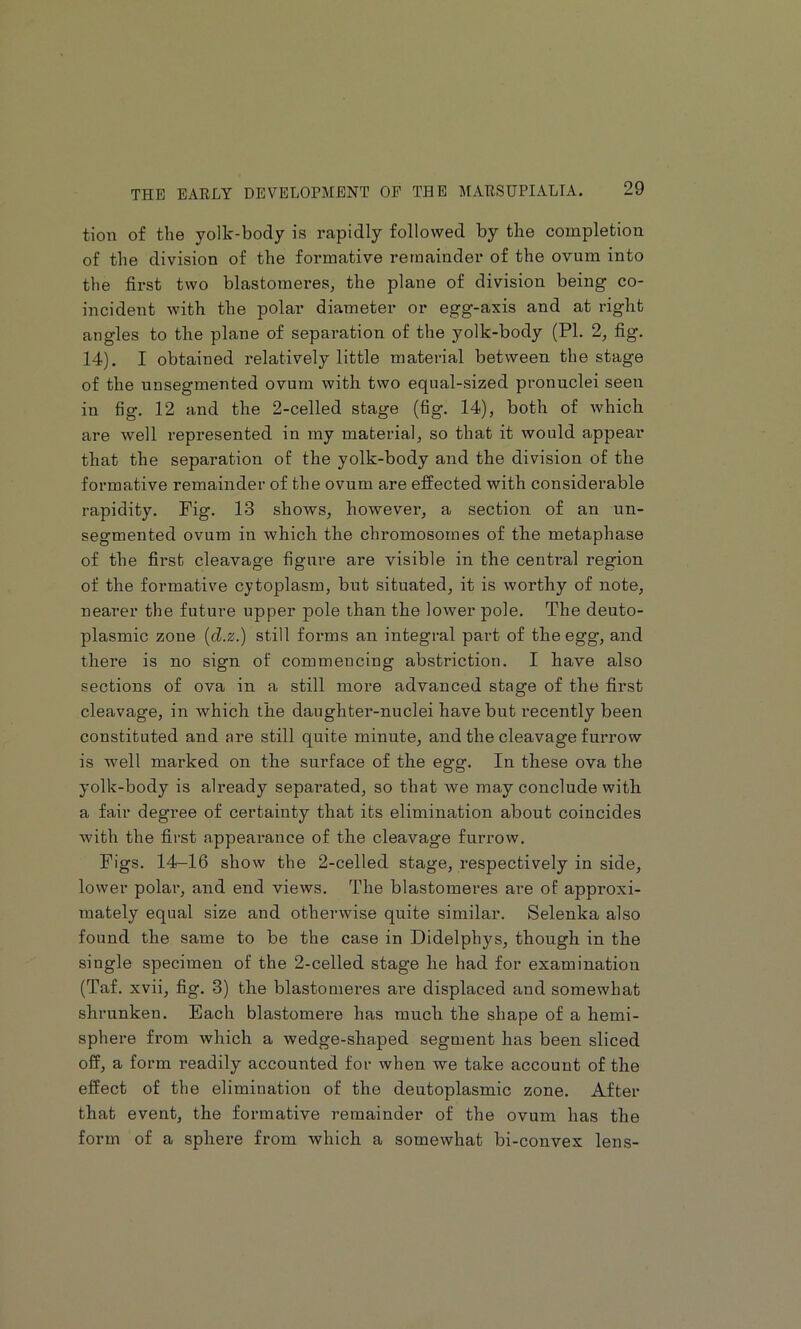 tion of the yolk-body is rapidly followed by the completion of the division of the formative remainder of the ovum into the first two blastomeres, the plane of division being co- incident with the polar diameter or egg-axis and at right angles to the plane of separation of the yolk-body (PL 2, fig. 14). I obtained relatively little material between the stage of the unsegmented ovum with two equal-sized pronuclei seen in fig. 12 and the 2-celled stage (fig. 14), both of which are well represented in my material, so that it would appear that the separation of the yolk-body and the division of the formative remainder of the ovum are effected with considerable rapidity. Fig. 13 shows, however, a section of an un- segmented ovum in which the chromosomes of the metaphase of the first cleavage figure are visible in the central region of the formative cytoplasm, but situated, it is worthy of note, rearer the future upper pole than the lower pole. The deuto- plasmic zone {d.z.) still forms an integral part of the egg, and there is no sign of commencing abstriction. I have also sections of ova in a still more advanced stage of the first cleavage, in which the daughter-nuclei have but recently been constituted and are still quite minute, and the cleavage furrow is well marked on the surface of the egg. In these ova the yolk-body is already separated, so that we may conclude with a fair degree of certainty that its elimination about coincides with the first appearance of the cleavage furrow. Figs. 14-16 show the 2-celled stage, respectively in side, lower polar, and end views. The blastomeres are of approxi- mately equal size and otherwise quite similar. Selenka also found the same to be the case in Didelphys, though in the single specimen of the 2-celled stage he had for examination (Taf. xvii, fig. 3) the blastomeres are displaced and somewhat shrunken. Each blastomere has much the shape of a hemi- sphere from which a wedge-shaped segment has been sliced off, a form readily accounted for when we take account of the effect of the elimination of the deutoplasmic zone. After that event, the formative remainder of the ovum has the form of a sphere from which a somewhat bi-convex lens-