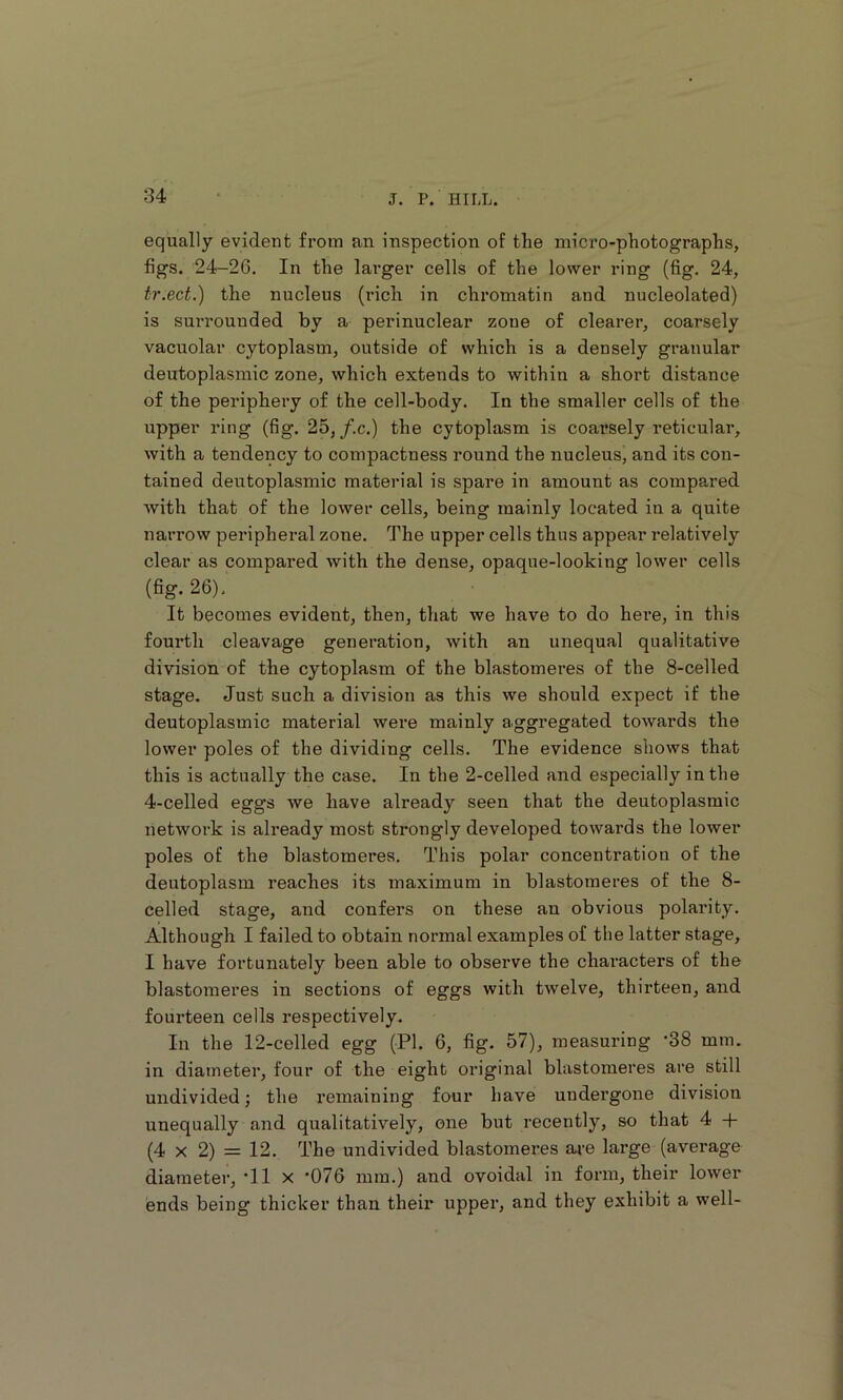 equally evident from an inspection of the micro-photographs, figs. 24-26. In the larger cells of the lower ring (fig. 24, tr.ect.) the nucleus (rich in chromatin and nucleolated) is surrounded by a perinuclear zone of clearer, coarsely vacuolar cytoplasm, outside of which is a densely granular deutoplasmic zone, which extends to within a short distance of the periphery of the cell-body. In the smaller cells of the upper ring (fig. 25,/.c.) the cytoplasm is coarsely reticular, with a tendency to compactness round the nucleus, and its con- tained deutoplasmic material is spare in amount as compared with that of the lower cells, being mainly located in a quite narrow peripheral zone. The upper cells thus appear relatively clear as compared with the dense, opaque-looking lower cells (fig. 26). It becomes evident, then, that we have to do here, in this fourth cleavage generation, with an unequal qualitative division of the cytoplasm of the blastomeres of the 8-celled stage. Just such a division as this we should expect if the deutoplasmic material were mainly aggregated towards the lower poles of the dividing cells. The evidence shows that this is actually the case. In the 2-celled and especially in the 4-celled eggs we have already seen that the deutoplasmic network is already most strongly developed towards the lower poles of the blastomeres. This polar concentration of the deutoplasm reaches its maximum in blastomeres of the 8- celled stage, and confers on these an obvious polarity. Although I failed to obtain normal examples of the latter stage, I have fortunately been able to observe the characters of the blastomeres in sections of eggs with twelve, thirteen, and fourteen cells respectively. In the 12-celled egg (PI. 6, fig. 57), measuring '38 mm. in diameter, four of the eight original blastomeres are still undivided; the remaining four have undergone division unequally and qualitatively, one but recently, so that 4 + (4 X 2) = 12. The undivided blastomeres are large (average diameter,'11 x '076 mm.) and ovoidal in form, their lower ends being thicker than their upper, and they exhibit a well-