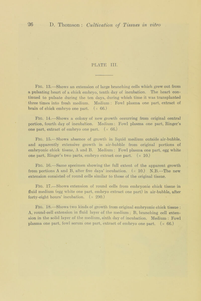 PLATE III. Fig, 13.—Shows an extension of large branching cells which grew out from a pulsating heart of a chick embryo, tenth day of incubation. The heart con- tinued to pulsate during the ten days, during which time it was transplanted three times into fresh medium. Medium : Fowl plasma one part, extract of brain of chick embryo one part. (x 66.) Fig. 14.—Shows a colony of new growth occurring from original central portion, fourth day of incubation. Medium ; Fowl plasma one part, Einger’s one part, extract of embryo one part. (x 66.) Fig. 15.—Shows absence of growth in liquid medium outside air-bubble, and apparently extensive growth in air-huhble from original portions of embryonic chick tissue, k and B. Medium : Fowl plasma one part, egg white one part, Kinger’s two parts, embryo extract one part, (x 10.) Fig. 16.-—Same specimen showing the full extent of the apparent growth from portions A and B, after five days’ incubation, (x 10.) N.B.—The new extension consisted of round cells similar to those of the original tissue. Fig. 17.—Shows extension of round cells from embryonic chick tissue in fluid medium (egg white one part, embryo extract one part) in air-bubble, after forty-eight hours’ incubation. (x 290.) Fig. 18.—Shows two kinds of growth from original embryonic chick tissue : A, round-cell extension in fluid layer of the medium ; B, branching cell exten- sion in the solid layer of the medium, sixth day of incubation. Medium : Fowl plasma one part, fowl serum one part, extract of embryo one part. (x 66.)