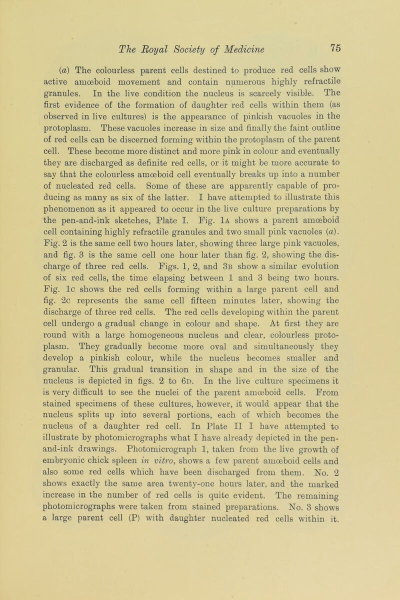 {a) The colourless parent cells destined to produce red cells show active amceboid movement and contain numerous highly retractile granules. In the live condition the nucleus is scarcely visible. The first evidence of the formation of daughter red cells within them (as observed in live cultures) is the appearance of pinkish vacuoles in the protoplasm. These vacuoles increase in size and finally the faint outline of red cells can be discerned forming within the protoplasm of the parent cell. These become more distinct and more pink in colour and eventually they are discharged as definite red cells, or it might be more accurate to say that the colourless amoeboid cell eventually breaks up into a number of nucleated red cells. Some of these are apparently capable of pro- ducing as many as six of the latter. I have attempted to illustrate this phenomenon as it appeared to occur in the live culture preparations by the pen-and-ink sketches, Plate I. Fig. 1a shows a parent amoeboid cell containing highly retractile granules and two small pink vacuoles (a). Fig. 2 is the same cell two hours later, showing three large pink vacuoles, and fig. 3 is the same cell one hour later than fig. 2, showing the dis- charge of three red cells. Figs. 1, 2, and 3b show a similar evolution of six red cells, the time elapsing between 1 and 3 being two hours. Fig. Ic shows the red cells forming within a large parent cell and fig. 2c represents the same cell fifteen minutes later, showing the discharge of three red cells. The red cells developing within the parent cell undergo a gradual change in colour and shape. At first they are round with a large homogeneous nucleus and clear, colourless proto- plasm. They gradually become more oval and simultaneously they develop a pinkish colour, while the nucleus becomes smaller and granular. This gradual transition in shape and in the size of the nucleus is depicted in figs. 2 to 6d. In the live culture specimens it is very difficult to see the nuclei of the parent amoeboid cells. From stained specimens of these cultures, however, it would appear that the nucleus splits up into several portions, each of which becomes the nucleus of a daughter red cell. In Plate II I have attempted to illustrate by photomicrographs what I have already depicted in the pen- and-ink drawings. Photomicrograph 1, taken from the live growth of embryonic chick spleen in vitro, shows a few parent amoeboid cells and also some red cells which have been discharged from them. No. 2 shows exactly the same area twenty-one hours later, and the marked increase in the number of red cells is quite evident. The remaining photomicrographs were taken from stained preparations. No. 3 shows a large parent cell (P) with daughter nucleated red cells within it.