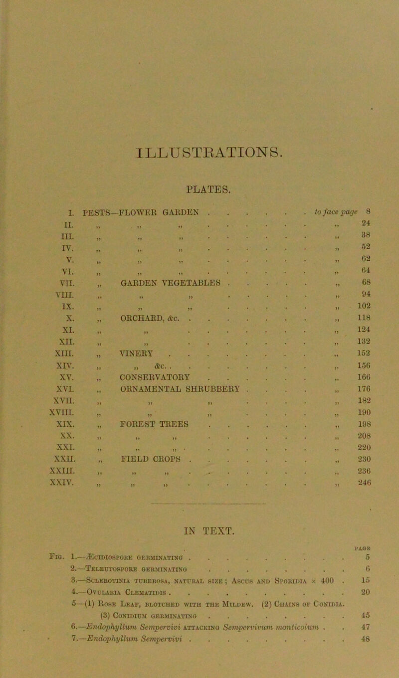 ILLUSTRATIONS. PLATES. I. PESTS- -FLOWER GARDEN .... . to face page 8 II. 11 11 .... • t> 24 III. n »» . ; . • 11 38 IV. » ti .... • 11 52 V. ii ii • • • • »J (32 VI. ii ii .... • n (54 VII. GARDEN VEGETABLES . • ii G8 VIII. l» 11 ... • ii 94 IX. 11 11 ... • it 102 X. ORCHARD, Ac • »> 118 XI. 11 ..... • t> 124 XII. It ..... • »> 132 XIII. VINERY • it 152 XIV. &c • tt 15(3 XV. CONSERVATORY .... * it 16(5 XVI. ORNAMENTAL SHRUBBERY . • ii 176 XVII. >1 11 • • • ii 182 XVIII. 11 11 • • • it 190 XIX. FOREST TREES .... * n 198 XX. 1» ii .... • ii 208 XXL It >> * .... • ii 220 XXII. FIELD CROPS • ii 230 XXIII. » »»••••• • it 236 XXIV. n )»••••• • ii 246 IN TEXT. I’AGK Fig. 1.—iEciDiospoxiE germinating 5 2.—Telectospore germinating .... . . (5 3.— St'LEROTINIA TCBEROSA, NATURAL SIZE ; AsCCS AND Sporidia x 100 . 15 4.—Ovclakia Clematidis . 20 5—(1) Rose Leaf, blotched with the Mildew. (2) Chains OF CoNIDIA. (3) Conidicm germinating .... . . 45 6.—Endophyllum Se?npcrvivi attacking Sempcrvivum monticolum . 47