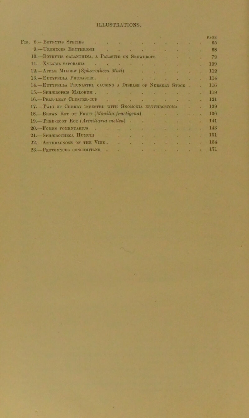 PAGE io. 8.— Botrytis Species 65 9.—Uromyces Erythronii 68 10. —Boteytis galanthina, a Parasite on Snowdrops .... 72 11. —Xylaria vaporaria 109 12. —Apple Mildew (Spharotlieca Mali) 112 13. —Eutypella Prunastri 114 14. —Eutypella Prunastri, causing a Disease of Nursery Stock . . 11(5 15. — Sph/EROPSIs Malorum 118 16. —Pear-leaf Cluster-cup 121 17. —Twio of Cherry infested with Gnomonia erythrostoma . . 129 18. —Brown Rot of Fruit (Monilia fructigena) 136 19. — Tree-root Rot (Armillaria mcllea) 141 20. —Fomes fomentarius 143 21. —Sph.f.rotheca Humuli 151 22. —Anthracnose of the Vine 154 23. —pROTOMYCES CONCOMITANS . . ..... 1 171