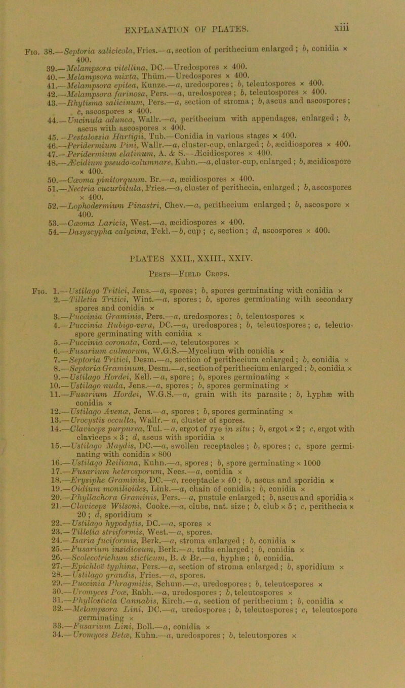 Fxo. 38.—Septoria salicicola, Flies.—a, section of perithecium enlarged ; b, conidia x 400. 39. — Melampsora vitelline, DC.—Uredospores x 400. 40. —Melampsora mixta, Thiim.—Uredospores x 400. 41. —Melampsora epitea, Kunze.—a, uredospores; b, teleutospores x 400. 42. —Melampsorafarinosa, Pers. a, uredospores; b, teleutospores x 400. 43. —Rhytisma salicinum, Pers.—a, section of stroma ; b, ascus and ascospores; C, ascospores x 400. 44 Uncinula adunca, Wallr.—a, perithecium with appendages, enlarged; b, ascus with ascospores x 400. 45. -Pestalozxia Hartigii, Tub.—Conidia in various stages x 400. 46. —Peridermium Pint, Wallr.—a, cluster-cup, enlarged ; b, a-cidiospores x 400. 47. — Peridermium elatinum, A. A S.—JEcidiospores x 400. 48. —JEcidium pseudo-column are, Kuhn.—a, cluster-cup, enlarged ; b, iccidiosporc x 400. 50. —Cceoma pinitorquum, Br.—a, eecidiospores x 400. 51. —Nectria cucurbitula, Fries.—a, cluster of perithecia, enlarged ; b, ascospores x 400. 52. —Lophodermium Pinastri, Chev.—a, perithecium enlarged ; b, ascospore x 400. •58.—Cceoma Laricis, West.—a, secidiospores x 400. 54.—Dasyscypha calycina, Fckl. — b, cup ; c, section ; cl, ascospores x 400. PLATES XXII., XXIII., XXIV. Pests—Field Chops. Fio. 1.—Ustilago Tritici, Jens.—a, spores ; b, spores germinating with conidia x 2. —Tilletia Tritici, Wint.—a, spores; b, spores germinating with secondary spores and conidia x 3. —Puccinia. Graminis, Pers.—a, uredospores; b, teleutospores x 4. —Puccinia- Rubigo-vera, DC.—a, uredospores; b, teleutospores; e, teleuto- spore germinating with conidia x 5. —Puccinia coronata, Cord.—a, teleutospores x 6. —Fusarium culmorum, W.G.S.—Mycelium with conidia x 1.—Septoria Tritici, Desm.—a, section of perithecium enlarged; b, conidia x 8. —SeptoriaGraminum, Desm a, section of perithecium enlarged ; b, conidia x 9. — Ustilago Hordei, Kell.—a, spore; b, spores germinating x 10. — Ustilago nuda, Jens.—a, spores; b, spores germinating x 11. —Fusarium Ilordei, W.G.S.—a, grain with its parasite ; b, Lyphas with conidia x 12. —Ustilago Avence, Jens.—a, spores ; b, spores germinating x 13. — Urocystis occulta, Wallr.— a, cluster of spores. 14. —Claviceps purpurea, Tul. —a, ergot of rye in situ ; b, ergot x 2 ; c, ergot with claviceps x 3; d, ascus with sporidia x 15. —Ustilago Maydis, DC.—a, swollen receptacles ; b, spores; c, spore germi- nating with conidia x 800 10. — Ustilago Reiliana, Kuhn.—a, spores ; b, spore germinating x 1000 17. —Fusarium lieterosporum, Nees.—a, conidia x 18. —Erysiphe Grammis, DC.—a, receptacle x 40 ; b, ascus and sporidia x 19. —Oidiuni monilioides, Link.—a, chain of conidia; b, conidia x 20. —Phyllachora Graminis, Pers.—a, pustule enlarged; b, ascus and sporidia x 21. —Claviceps Wilsoni, Cooke.—a, clubs, nat. size ; b, club x 5 ; c, perithecia x 20 ; d, sporidium x 22. — Ustilago hypodytis, DC.—a, spores x 23. — Tilletia striiformis. West.—a, spores. 24. — Isaria fuciformis, Berk.—a, stroma enlarged ; b, conidia x 25. —Fusarium insidiosum, Berk.— a, tufts enlarged ; b, conidia x 26. —Scolecotrichum sticticum, B. & Br.—a, hyphse ; b, conidia. 27. —EpichloU typhina, Pers.—a, section of stroma enlarged; b, sporidium x 28. — Ustilago grandis, Fries.—a, spores. 29. —Puccinia Phragmitis, Schum.—a, uredospores; b, teleutospores x 30. —Uramyces Poor, llabh.—a, uredospores; b, teleutospores x 31. —Phyllosticla Cannabis, Kirch.—a, section of perithecium ; b, conidia x 32. —Melampsora Lini, DC.—a, uredospores ; b, teleutospores; c, teleutospore germinating x 33. —Fusarium Lini, Boll.—a, conidia x 34. — Uromyces Betce, Kuhn.—a, uredospores ; b, teleutospores x