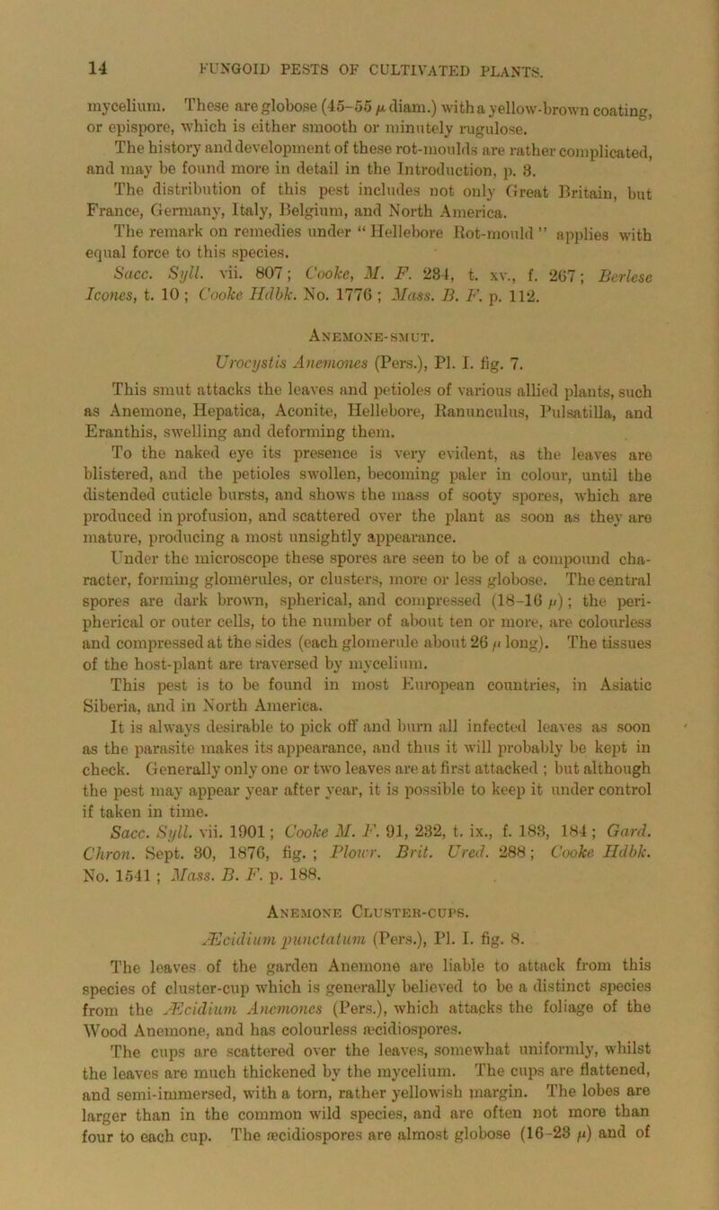 mycelium. Those are globose (45- 55 y diam.) with a yellow-brown coating, or epispore, which is either smooth or minutely rugulose. The history and development of these rot-moulds are rather complicated, and may be found more in detail in the Introduction, p. 3. The distribution of this pest includes not only Great Britain, but France, Germany, Italy, Belgium, and North America. The remark on remedies under “ Hellebore Hot-mould ” applies with equal force to this species. Sacc. Syll. vii. 807; Cooke, M. F. 284, t. x\\, f. 207; Berlcse leones, t. 10 ; Cooke Hdbk. No. 1770 ; Mass. B. F. p. 112. Anemone-smut. Uroeystis Anemones (Pers.), PI. I. fig. 7. This smut attacks the leaves and petioles of various allied plants, such as Anemone, Hepatica, Aconite, Hellebore, Ranunculus, Pulsatilla, and Eranthis, swelling and deforming them. To the naked eye its presence is very evident, as the leaves are blistered, and the petioles swollen, becoming paler in colour, until the distended cuticle bursts, and shows the mass of sooty spores, which are produced in profusion, and scattered over the plant as soon as they aro mature, producing a most unsightly appearance. Under the microscope these spores are seen to be of a compound cha- racter, forming glomerules, or clusters, more or less globose. The central spores are dark brown, spherical, and compressed (18-16^); the peri- pherical or outer cells, to the number of about ten or more, are colourless and compressed at the sides (each glomerule about 26 y long). The tissues of the host-plant are traversed by mycelium. This pest is to be found in most European countries, in Asiatic Siberia, and in North America. It is always desirable to pick off and burn all infected leaves as soon as the parasite makes its appearance, and thus it will probably be kept in check. Generally only one or two leaves are at first attacked ; but although the pest may appear year after year, it is possible to keep it under control if taken in time. Sacc. Syll. vii. 1901; Cooke M. F. 91, 232, t. ix., f. 188, 184 ; Gard. Chron. Sept. 30, 1870, fig.; Ploivr. Brit. Ured. 288; Cooke Ildbk. No. 1541 ; Mass. B. F. p. 188. Anemone Cluster-cups. HZcidium imnctatum (Pers.), PI. I. fig. 8. The leaves of the garden Anemone are liable to attack from this species of cluster-cup which is generally believed to be a distinct species from the JEcidium Anemones (Pers.), which attacks the foliage of the Wood Anemone, and has colourless R'cidiospores. The cups are scattered over the leaves, somewhat uniformly, whilst the leaves are much thickened by the mycelium. The cups are flattened, and semi-immersed, with a torn, rather yellowish margin. The lobes are larger than in the common -wild species, and are often not more than four to each cup. The recidiospores are almost globose (16-23 y) and of