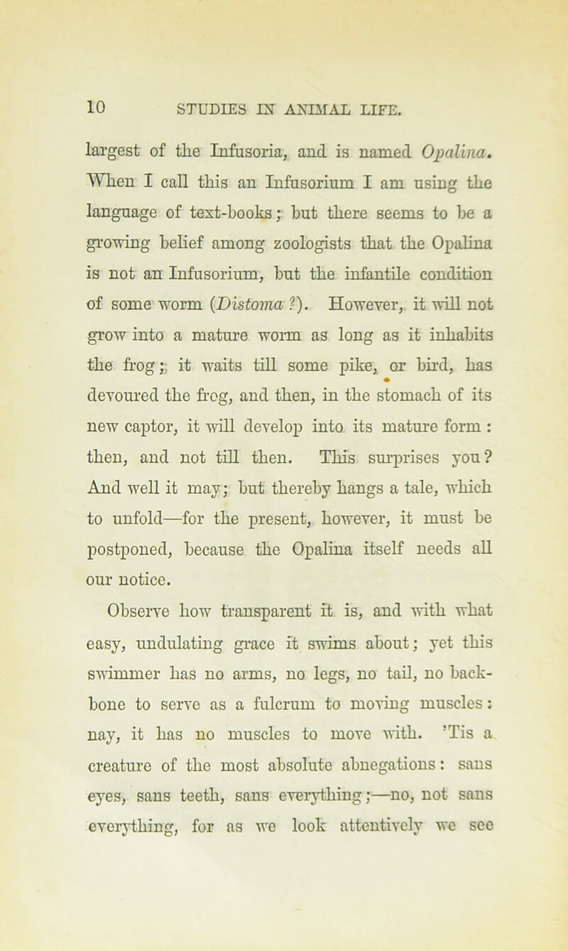 largest of the Infusoria, and is named Opalina. When I call this an Infusorium I am using the language of text-books; but there seems to be a gi’owing belief among zoologists that the Opalina is not an Infusorium, but the infantile condition of some worm {Distoma ?). However, it will not grow into a mature worm as long as it inhabits the frog;; it waits till some pike, or bird, has devoured the frog, and then, in the stomach of its new captor, it will develop into its mature form : then, and not tiU then. This surprises you? And well it may; but thereby hangs a tale, which to unfold—for the present, however, it must be postponed, because the Opalina itself needs all our notice. Observe how transparent it is, and with what easy, undulating gi-ace it swims about; yet this swimmer has no arms, no legs, no tail, no back- bone to serve as a fulcrum to moving muscles: nay, it has no muscles to move with. ’Tis a creature of the most absolute abnegations: sans eyes, sans teeth, sans everything;—no, not sans everything, for as we look attentively we see