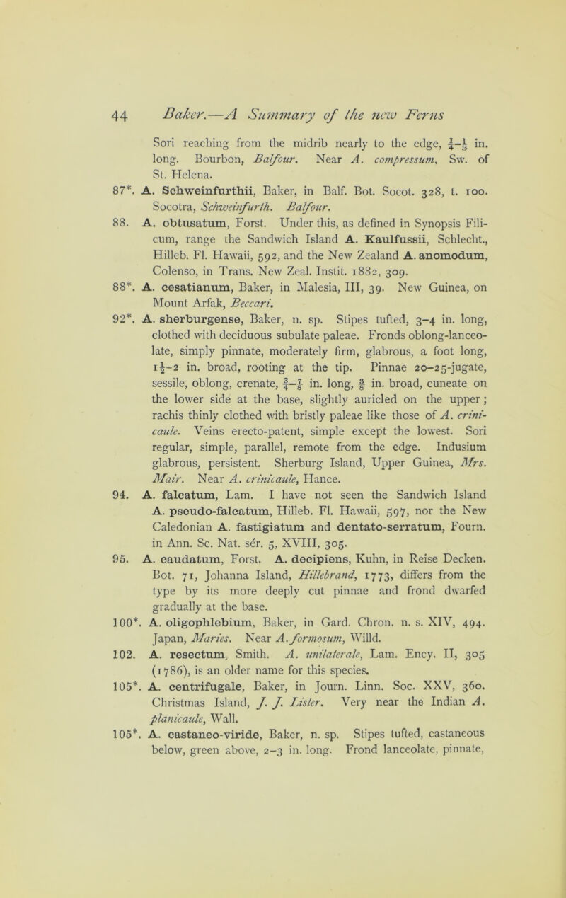 Sori reaching from the midrib nearly to the edge, in. long. Bourbon, Balfour. Near A. compressum, Sw. of St. Helena. 87*. A. Schweinfurthii, Baker, in Balf. Bot. Socot. 328, t. 100. Socotra, Schweuifurth. Balfour. 88. A. obtusatum, Forst. Under this, as defined in Synopsis Fili- cum, range the Sandwich Island A. Kaulfussii, Schlecht., Hilleb. FI. Hawaii, 592, and the New Zealand A. anomodum, Colenso, in Trans. New Zeal. Instit. 1882, 309. 88*. A. cesatianum, Baker, in Malesia, III, 39. New Guinea, on Mount Arfak, Beccari. 92*. A. sherburgense, Baker, n. sp. Stipes tufted, 3-4 in. long, clothed with deciduous subulate paleae. Fronds oblong-lanceo- late, simply pinnate, moderately firm, glabrous, a foot long, 1^-2 in. broad, rooting at the tip. Pinnae 20-25-jugate, sessile, oblong, crenate, f-J in. long, f in. broad, cuneate on the lower side at the base, slightly auricled on the upper; rachis thinly clothed with bristly paleae like those of A. crini- caule. Veins erecto-patent, simple except the lowest. Sori regular, simple, parallel, remote from the edge. Indusium glabrous, persistent. Sherburg Island, Upper Guinea, Mrs. Mair. Near A. crinicaule, Hance. 94. A. falcatum, Lam. I have not seen the Sandwich Island A. pseudo-falcatum, Hilleb. FI. Hawaii, 597, nor the New Caledonian A. fastigiatum and dentato-serratum, Fourn. in Ann. Sc. Nat. sdr. 5, XVIII, 305. 95. A. caudatum, Forst. A. decipiens, Kuhn, in Reise Decken. Bot. 71, Johanna Island, Hillebrand, 1773, differs from the type by its more deeply cut pinnae and frond dwarfed gradually at the base. 100*. A. oligophlebium, Baker, in Gard. Chron. n. s. XIV, 494. Japan, Maries. Near A. formosum, Willd. 102. A. resectum; Smith. A. tinilaterale, Lam. Ency. II, 305 (1786), is an older name for this species. 105*. A. centrifugale, Baker, in Journ. Linn. Soc. XXV, 360. Christmas Island, J. f. Lister. Very near the Indian A. planicaule, Wall. 105*. A. castaneo-virido, Baker, n. sp. Stipes tufted, castaneous below, green above, 2-3 in. long. Frond lanceolate, pinnate,