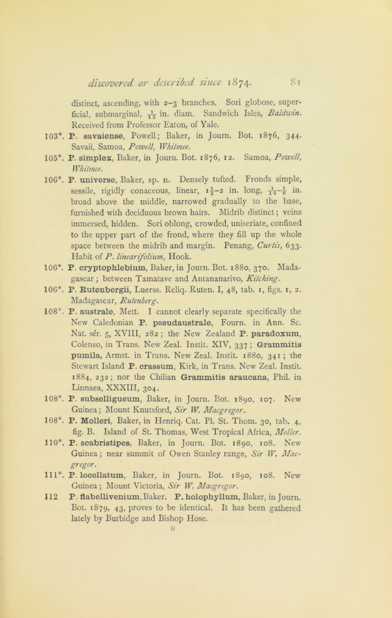 distinct, ascending, with 2-3 branches. Sori globose, super- ficial, submarginal, in. diam. Sandwich Isles, Baldwin. Received from Professor Eaton, of Yale. 103*. P. savaionse, Powell; Baker, in Journ. Bot. 1876, 344. Savaii, Samoa, Powell, Whilmee. 105*. P. simplex, Baker, in Journ. Bot. 1876, 12. Samoa, Powell, Whilmee. 106*. P. universe, Baker, sp. n. Densely tufted. Fronds simple, sessile, rigidly conaceous, linear, 1^-2 in. long, x2~f ^n- broad above the middle, narrowed gradually to the base, furnished with deciduous brown hairs. Midrib distinct; veins immersed, hidden. Sori oblong, crowded, uniseriate, confined to the upper part of the frond, where they fill up the whole space between the midrib and margin. Penang, Curtis, 633. Habit of P. linear ifolium, Hook. 106*. P. cryptophlebium, Baker, in Journ. Bot. 1880, 370. Mada- gascar; between Tamatave and Antananarivo, Kitching. 106*. P. Rutenbergii, Luerss. Reliq. Ruten. I, 48, tab. 1, figs. 1, 2. Madagascar, Ru/enberg. 108*. P. australe, Mett. I cannot clearly separate specifically the New Caledonian P. pseudaustrale, Fourn. in Ann. Sc. Nat. s£r. 5, XVIII, 282 ; the New Zealand P. paradoxum, Colenso, in Trans. New Zeal. Instit. XIV, 337; Grammitis pumila, Armst. in Trans. New Zeal. Instit. 1880, 341 ; the Stewart Island P. crassum, Kirk, in Trans. New Zeal. Instit. 1884, 232; nor the Chilian Grammitis araucana, Phil, in Linnaea, XXXIII, 304. 108*. P. subselligueum, Baker, in Journ. Bot. 1890, 107. New Guinea; Mount Knutsford, Sir W. Macgregor. 108*. P. Molleri, Baker, in Henriq. Cat. PI. St. Thom. 30, tab. 4, fig. B. Island of St. Thomas, West Tropical Africa, Moller. 110*. P. scabristipes, Baker, in Journ. Bot. 1890, 108. New Guinea; near summit of Owen Stanley range, Sir W. Mac- gregor. 111*. P. locellatum. Baker, in Journ. Bot. 1890, 108. New Guinea; Mount Victoria, Sir W. Macgregor. 112 P. flabellivenium, Baker. P. holophyllum, Baker, in Journ. Bot. 1879, 43, proves to be identical. It has been gathered lately by Burbidge and Bishop Hose. G