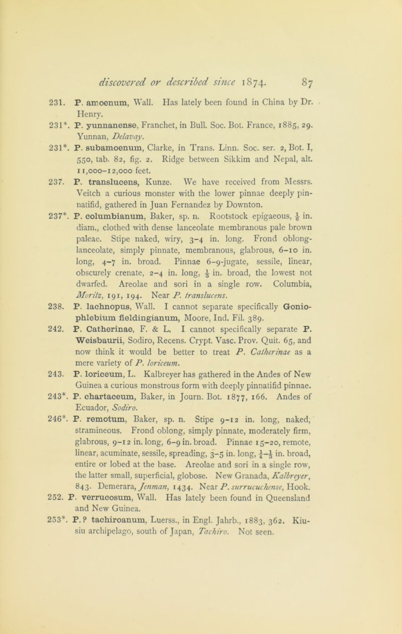 231. P. amoenum, Wall. Has lately been found in China by Dr. Henry. 231*. P. yunnanense, Franchet, in Bull. Soc. Bot. France, 1885, 29. Yunnan, Delavay. 231*. P. subamoenum, Clarke, in Trans. Linn. Soc. ser. 2, Bot. I, 550, tab. 82, fig. 2. Ridge between Sikkim and Nepal, alt. 1 r,000-12,000 feet. 237. P. translucens, Kunze. We have received from Messrs. Veitch a curious monster with the lower pinnae deeply pin- natifid, gathered in Juan Fernandez by Downton. 237*. P. columbianum, Baker, sp. n. Rootstock epigaeous, £ in. diam., clothed with dense lanceolate membranous pale brown paleae. Stipe naked, wiry, 3-4 in. long. Frond oblong- lanceolate, simply pinnate, membranous, glabrous, 6-10 in. long, 4-7 in. broad. Pinnae 6-9-jugate, sessile, linear, obscurely crenate, 2-4 in. long, ^ in. broad, the lowest not dwarfed. Areolae and sori in a single row. Columbia, Moritz, 191, 194. Near P. translucens. 238. P. lachnopus, Wall. I cannot separate specifically Gonio- phlebium fieldingianum, Moore, Ind. Fil. 389. 242. P. Catherinae, F. & L. I cannot specifically separate P. Weisbaurii, Sodiro, Recens. Crypt. Vase. Prov. Quit. 65, and now think it would be better to treat P. Catherinae as a mere variety of P. loriceum. 243. P. loriceum, L. Kalbreyer has gathered in the Andes of New Guinea a curious monstrous form with deeply pinnatifid pinnae. 243*. P. chartaceum, Baker, in Journ. Bot. 1877, J66. Andes of Ecuador, Sodiro. 246*. P. remotum, Baker, sp. n. Stipe 9-12 in. long, naked, stramineous. Frond oblong, simply pinnate, moderately firm, glabrous, 9-12 in. long, 6-9 in. broad. Pinnae 15-20, remote, linear, acuminate, sessile, spreading, 3-5 in. long, in. broad, entire or lobed at the base. Areolae and sori in a single row, the latter small, superficial, globose. New Granada, Kalbreyer, 843. Demerara, Jenman, 1434. Near P. surrucuchense, Hook. 252. P. verrucosum, Wall. Has lately been found in Queensland and New Guinea. 253*. P. ? tachiroanum, Luerss., in Engl. Jahrb., 1883, 362. Kiu- siu archipelago, south of Japan, Tachiro. Not seen.