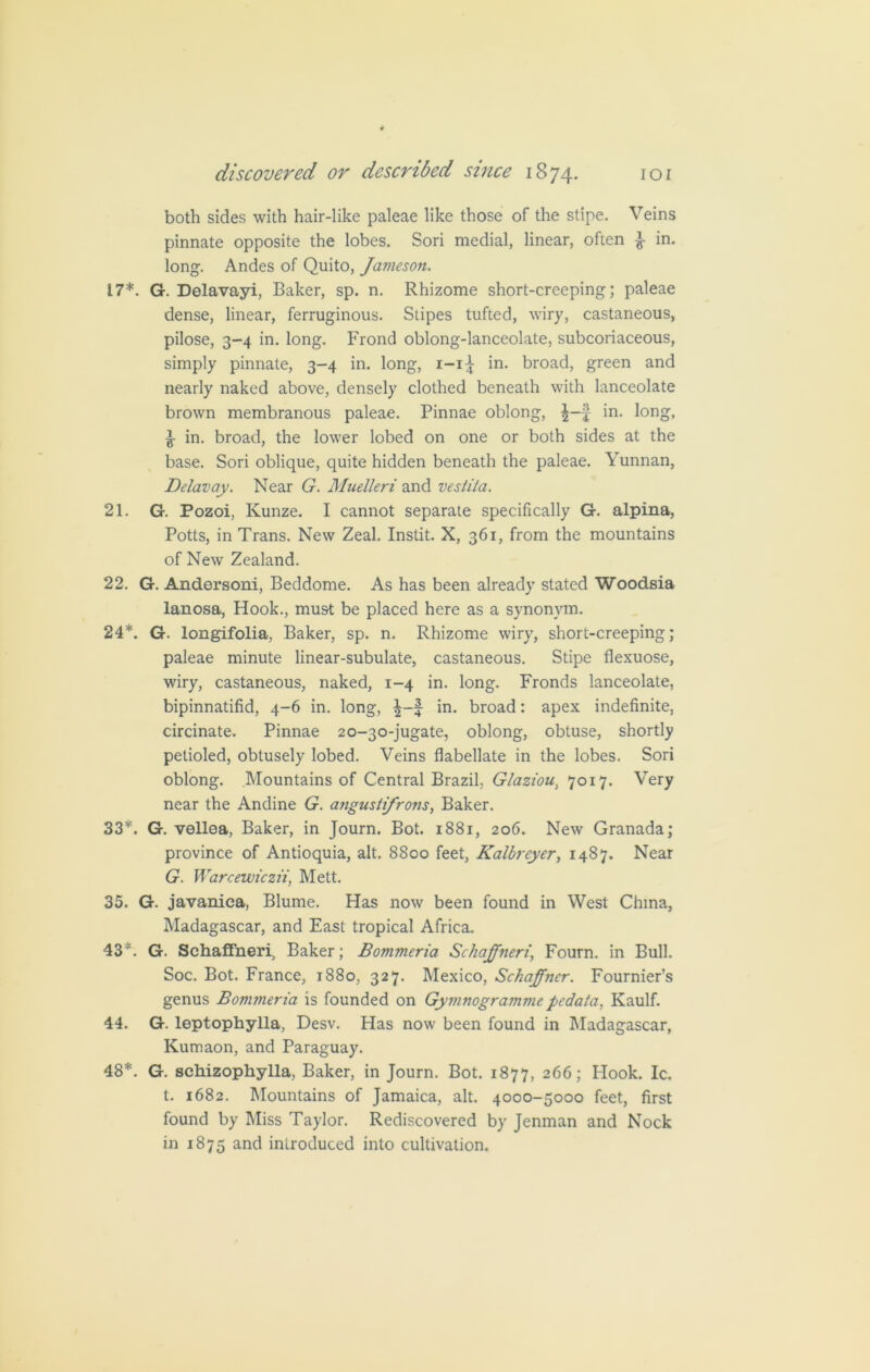 both sides with hair-like paleae like those of the stipe. Veins pinnate opposite the lobes. Sori medial, linear, often £ in. long. Andes of Quito, Jameson. 17*. G. Delavayi, Baker, sp. n. Rhizome short-creeping; paleae dense, linear, ferruginous. Stipes tufted, wiry, castaneous, pilose, 3-4 in. long. Frond oblong-lanceolate, subcoriaceous, simply pinnate, 3-4 in. long, 1-I5 in. broad, green and nearly naked above, densely clothed beneath with lanceolate brown membranous paleae. Pinnae oblong, J-f in. long, ^ in. broad, the lower lobed on one or both sides at the base. Sori oblique, quite hidden beneath the paleae. Yunnan, Delavay. Near G. Muelleri and vesiita. 21. G. Pozoi, Kunze. I cannot separate specifically G. alpina, Potts, in Trans. New Zeal. Instit. X, 361, from the mountains of New Zealand. 22. G. Andersoni, Beddome. As has been already stated Woodsia lanosa, Hook., must be placed here as a synonym. 24*. G. longifolia, Baker, sp. n. Rhizome wiry, short-creeping; paleae minute linear-subulate, castaneous. Stipe flexuose, wiry, castaneous, naked, 1-4 in. long. Fronds lanceolate, bipinnatifid, 4-6 in. long, in. broad: apex indefinite, circinate. Pinnae 20-30-jugate, oblong, obtuse, shortly petioled, obtusely lobed. Veins flabellate in the lobes. Sori oblong. Mountains of Central Brazil, Glaziou> 7017. Very near the Andine G. angustifrons, Baker. 33*. G. vellea, Baker, in Journ. Bot. 1881, 206. New Granada; province of Antioquia, alt. 8800 feet, Kalbreyer, 1487. Near G. Warcewiczn, Mett. 35. G. javaniea, Blume. Has now been found in West China, Madagascar, and East tropical Africa. 43*. G. Schaffneri, Baker; Bommeria Schaffnert, Fourn. in Bull. Soc. Bot. France, 1880, 327. Mexico, Schaffncr. Fournier’s genus Bommeria is founded on Gymnogramme pedata, Kaulf. 44. G. leptophylla, Desv. Has now been found in Madagascar, Kumaon, and Paraguay. 48*. G. schizophylla, Baker, in Journ. Bot. 1877, 266; Hook. Ic. t. 1682. Mountains of Jamaica, alt. 4000-5000 feet, first found by Miss Taylor. Rediscovered by Jenman and Nock in 1875 and introduced into cultivation.