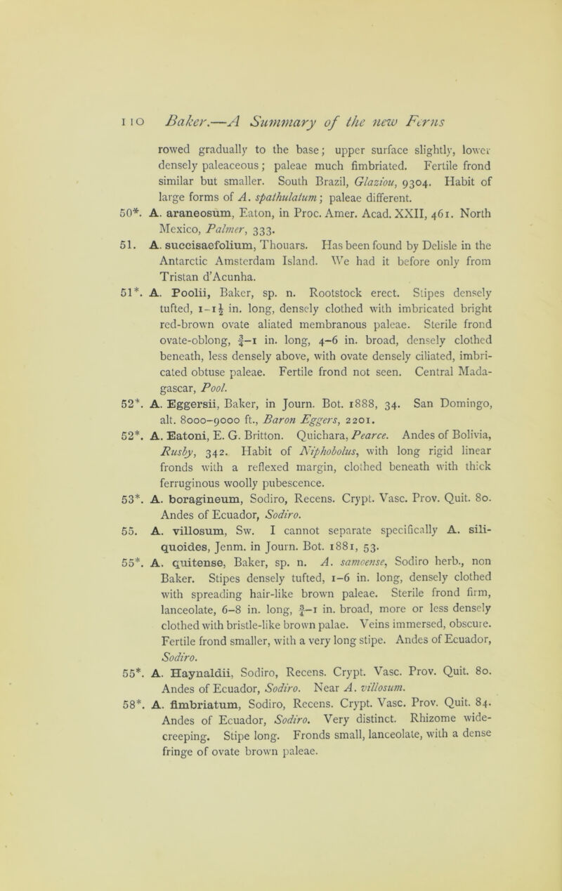 rowed gradually to the base; upper surface slightly, lower densely paleaceous; paleae much fimbriated. Fertile frond similar but smaller. South Brazil, Glaziou, 9304. Habit of large forms of A. spathulatum; paleae different. 50*. A. araneosum, Eaton, in Proc. Amer. Acad. XXII, 461. North Mexico, Pafoier, 333. 51. A. succisaefolium, Thouars. Has been found by Delisle in the Antarctic Amsterdam Island. We had it before only from Tristan d’Acunha. 51*. A. Poolii, Baker, sp. n. Rootstock erect. Stipes densely tufted, i-i| in. long, densely clothed with imbricated bright red-brown ovate abated membranous paleae. Sterile frond ovate-oblong, f-i in. long, 4-6 in. broad, densely clothed beneath, less densely above, with ovate densely ciliated, imbri- cated obtuse paleae. Fertile frond not seen. Central Mada- gascar, Pool. 52*. A. Eggersii, Baker, in Journ. Bot. 1888, 34. San Domingo, alt. 8000-9000 ft., Baron Eggers, 2201. 52*. A. Eatoni, E. G. Britton. Quichara, Pearce. Andes of Bolivia, Rusbjy, 342. Habit of Niphobolus, with long rigid linear fronds with a reflexed margin, clothed beneath with thick ferruginous woolly pubescence. 53*. A. boragineum, Sodiro, Recens. Crypt. Vase. Prov. Quit. 80. Andes of Ecuador, Sodiro. 55. A. villosum, Sw. I cannot separate specifically A. sili- quoid.es, Jenm. in Journ. Bot. 1881, 53. 55*. A. quitense, Baker, sp. n. A. samoense, Sodiro herb., non Baker. Stipes densely tufted, 1-6 in. long, densely clothed with spreading hair-like brown paleae. Sterile frond firm, lanceolate, 6-8 in. long, f-i in. broad, more or less densely clothed with bristle-like brown palae. Veins immersed, obscure. Fertile frond smaller, with a very long stipe. Andes of Ecuador, Sodiro. 55*. A. Haynaldii, Sodiro, Recens. Crypt. Vase. Prov. Quit. 80. Andes of Ecuador, Sodiro. Near A. villosum. 58*. A. fimbriatum, Sodiro, Recens. Crypt. Vase. Prov. Quit. 84. Andes of Ecuador, Sodiro. Very distinct. Rhizome wide- creeping. Stipe long. Fronds small, lanceolate, with a dense fringe of ovate brown paleae.