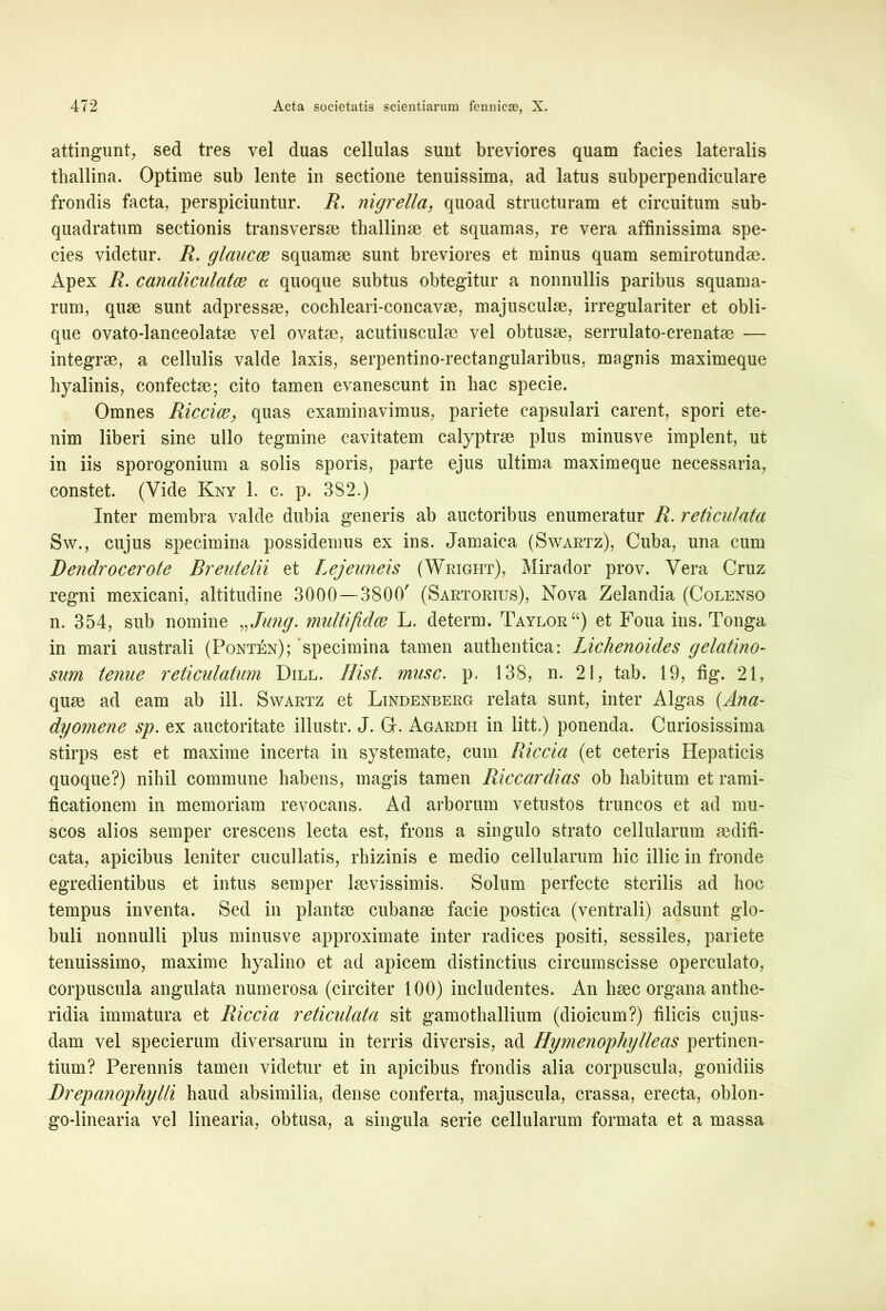 attingunt, sed tres vel duas cellulas sunt breviores quam facies lateralis thallina. Optime sub lente in sectione tenuissima, ad latus subperpendiculare frondis facta, perspiciuntur. R. nigrella, quoad structuram et circuitum sub- quadratum sectionis transversa? thallinse et squamas, re vera affinissima spe- cies videtur. R. glaucae squamae sunt breviores et minus quam semirotundae. Apex R. canaliculatae a quoque subtus obtegitur a nonnullis paribus squama- rum, quae sunt adpressae, cochleari-concavae, majusculae, irregulariter et obli- que ovato-lanceolatae vel ovatae, acutiusculae vel obtusae, serrulato-crenatae — integrae, a cellulis valde laxis, serpentino-rectangularibus, magnis maximeque hyalinis, confectae; cito tamen evanescunt in hac specie. Omnes Ricciae, quas examinavimus, pariete capsulari carent, spori ete- nim liberi sine ullo tegmine cavitatem calyptrae plus minusve implent, ut in iis sporogonium a solis sporis, parte ejus ultima maximeque necessaria, constet. (Vide Kny 1. c. p. 3S2.) Inter membra valde dubia generis ab auctoribus enumeratur R. reticulata Svv., cujus specimina possidemus ex ins. Jamaica (Swartz), Cuba, una cum Dendrocerote Breutelii et Lejeuneis (Wright), Mirador prov. Vera Cruz regni mexicani, altitudine 3000 — 3800' (Sartorius), Nova Zelandia (Colenso n. 354, sub nomine vJu?ig. midtifidce L. determ. TAYLORa) et Foua ins. Tonga in mari australi (Ponten); specimina tamen authentica: Lichenoides gelatino- sum tenue reticulatum Dill. Hist. musc. p. 138, n. 21, tab. 19, fig. 21, quse ad eam ab ili. Swartz et Lindenberg relata sunt, inter Algas (Ana- dyomene sp. ex auctoritate illustr. J. G. Agardh in litt.) ponenda. Curiosissima stirps est et maxime incerta in systemate, cum Riccia (et ceteris Hepaticis quoque?) nihil commune habens, magis tamen Riccardias ob habitum et rami- ficationem in memoriam revocans. Ad arborum vetustos truncos et ad mu- scos alios semper crescens lecta est, frons a singulo strato cellularum aedifi- cata, apicibus leniter cucullatis, rhizinis e medio cellularum hic illic in fronde egredientibus et intus semper laevissimis. Solum perfecte sterilis ad hoc tempus inventa. Sed in planta? cubanse facie postica (ventrali) adsunt glo- buli nonnulli plus minusve approximate inter radices positi, sessiles, pariete tenuissimo, maxime hyalino et ad apicem distinctius circumscisse operculato, corpuscula angulata numerosa (circiter 100) includentes. An hsec organa anthe- ridia immatura et Riccia reticulata sit gamothallium (dioicum?) filicis cujus- dam vel specierum diversarum in terris diversis, ad Hymenophylleas pertinen- tium? Perennis tamen videtur et in apicibus frondis alia corpuscula, gonidiis Drepanophylli haud absimilia, dense conferta, majuscula, crassa, erecta, oblon- go-linearia vel linearia, obtusa, a singula serie cellularum formata et a massa