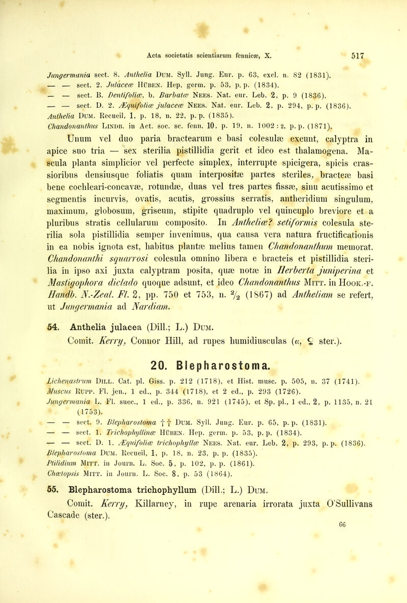 Jungermania sect. 8. Anthelia Dum. Syll. Jung. Em*, p. 63, exci. n. 82 (1831). — — sect. 2. Julacece Huben. Hep. germ. p. 53, p. p. (1834). — — sect. B. Dentifolicc, b. Barbata1 Nees. Nat. eur. Leb. 2, p. 9 (1836). — — sect. D. 2. /Equifolice julacece Nees. Nat. eur. Leb. 2, p. 294, p. p. (1836). Anthelia Dum. Recueil, 1, p. 18, n. 22, p. p. (1835). Chandonanthus Lindb. in Act. soc. sc. fenn. 10, p. 19, n. 1002:2, p. p. (1871). Unum vel cluo paria bractearum e basi colesulae exeunt, calyptra in apice suo tria — sex sterilia pistillidia gerit et ideo est thalamogena. Ma- scula planta simplicior vel perfecte simplex, interrupte spicigera, spicis cras- sioribus densiusque foliatis quam interpositae partes steriles, bracteae basi bene cochleari-concavae, rotundae, duas vel tres partes fissae, sinu acutissimo et segmentis incurvis, ovatis, acutis, grossius serratis, antheridium singulum, maximum, globosum, griseum, stipite quadruplo vel quincuplo breviore et a pluribus stratis cellularum composito. In Anthelice? seti/ormis colesula ste- rilia sola pistillidia semper invenimus, qua causa vera natura fructificationis in ea nobis ignota est, habitus plantae melius tamen Chandonanthum memorat. Chandonanthi squarrosi colesula omnino libera e bracteis et pistillidia steri- lia in ipso axi juxta calyptram posita, quae notae in Ilerberta juniperina et Mastigophora diclado quoque adsunt, et ideo Chandonanthus Mitt. in Hook.-f. Handb. N.-Zeal. FI. 2, pp. 750 et 753, n. 2/2 (1867) ad Antheliam se refert, ut Jungermania ad Nardiam. 54. Anthelia julacea (Dill.; L.) Dum. Comit. Kerry, Connor Hili, ad rupes humidiusculas (a, § ster.). 20. Blepharostoma. Lichenastrum Dill. Cat. pl. Giss. p. 212 (1718), et Hist. musc. p. 505, n. 37 (1741). Muscus Rupp. FI. jen., 1 ed., p. 344 (1718), et 2 ed., p. 293 (1726). Jungermania L. FI. suec., 1 ed., p. 336, n. 921 (1745), et Sp. pl., 1 ed., 2, p. 1135, n. 21 (1753). — — sect. 9. Blepharostoma ff Dum. Syll. Jung. Eur. p. 65, p. p. (1831). — — sect. 1. Trichophyllince Huben. Hep. germ. p. 53, p. p. (1834). — — sect. D. 1. /Equifolice trichopliyllce Nees. Nat. eur. Leb. 2, p. 293, p. p. (1836). Blepharostoma Dum. Recueil, 1, p. 18, n. 23, p. p. (1835). Ptilidium Mitt. in Journ. L. Soc. 5, p. 102, p. p. (1861). Chcetopsis Mitt. in Journ. L. Soc. 8, p. 53 (1864). 55. Blepharostoma trichophyllum (Dill.; L.) Dum. Comit. Kerry, Killarney, in rupe arenaria irrorata juxta 0'Sullivans Cascade (ster.). 66