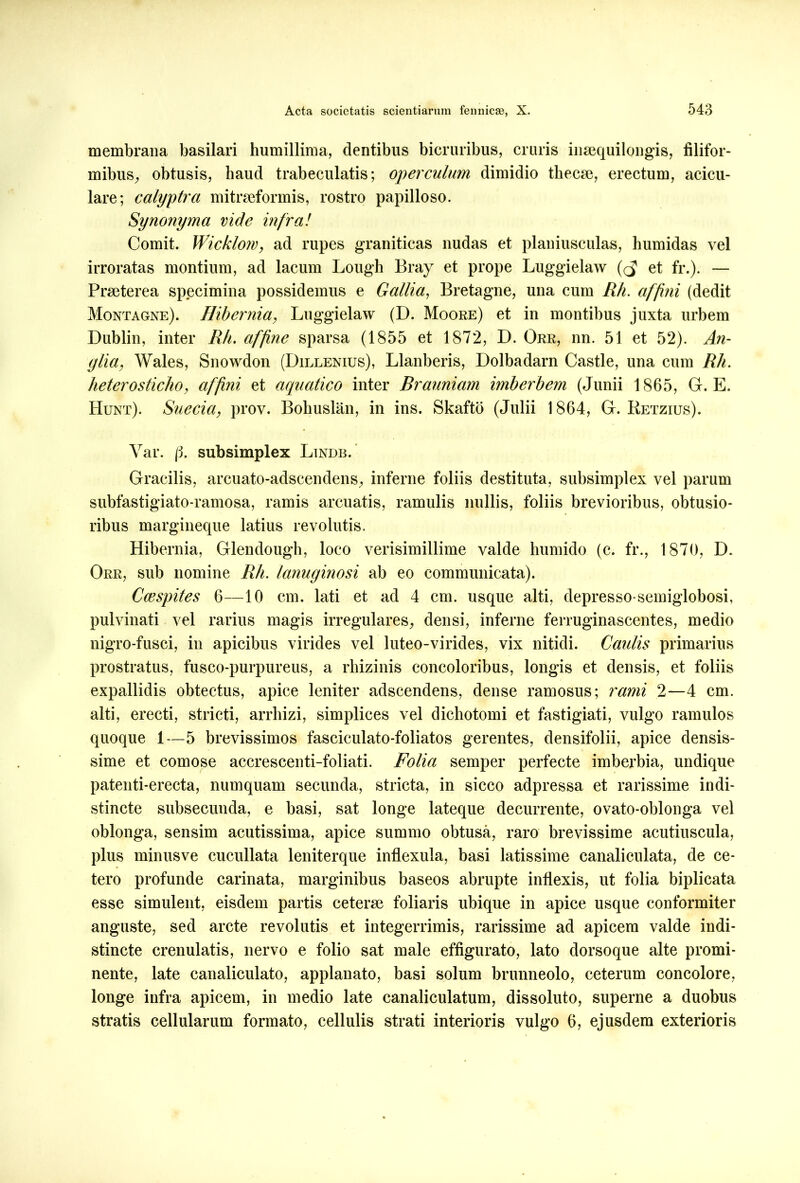 membrana basilari humillima, dentibus bicruribus, cruris insequilongis, filifor- mibus^ obtusis, haud trabeculatis; operculum dimidio thecm, erectum, acicu- lare; calyptra mitrseformis, rostro papilloso. Synonyma vide infra! Comit. Wicklom, ad rupes graniticas nudas et planiusculas, humidas vel irroratas montium, ad lacum Lough Bray et prope Luggielaw ((5 et fr.). — Praeterea specimina possidemus e Gallia, Bretagne, una cum Rh. affini (dedit Montagne). Hibernia, Luggielaw (D. Moore) et in montibus juxta urbem Dublin, inter Rh. affine sparsa (1855 et 1872, D. Orr, nn. 51 et 52). An- glia. Wales, Snowdon (Dillenius), Llanberis, Dolbadarn Castle, una cum Rh. heterosticho, affini et aquatico inter Brauniam imberbem (Junii 1865, G. E. Hunt). Suecia, prov. Bohuslan, in ins. Skafto (Julii 1864, G. Retzius). Var. (3. subsimplex Lindb. Gracilis, arcuato-adscendens, inferne foliis destituta, subsimplex vel parum subfastigiato-ramosa, ramis arcuatis, ramulis nullis, foliis brevioribus, obtusio- ribus margineque latius revolutis. Hibernia, Glendough, loco verisimillime valde humido (c. fr., 1870, D. Orr, sub nomine Rh. lanuginosi ab eo communicata). Ccespites 6—10 cm. lati et ad 4 cm. usque alti, depresso-semiglobosi, pulvinati vel rarius magis irregulares, densi, inferne femiginascentes, medio nigro-fusci, in apicibus virides vel luteo-virides, vix nitidi. Caulis primarius prostratus, fusco-purpureus, a rhizinis concoloribus, longis et densis, et foliis expallidis obtectus, apice leniter adscendens, dense ramosus; rami 2—4 cm. alti, erecti, stricti, arrhizi, simplices vel dichotomi et fastigiati, vulgo ramulos quoque 1—5 brevissimos fasciculato-foliatos gerentes, densifolii, apice densis- sime et comose accrescenti-foliati. Folia semper perfecte imberbia, undique patenti-erecta, numquam secunda, stricta, in sicco adpressa et rarissime indi- stincte subsecunda, e basi, sat longe lateque decurrente, ovato-oblonga vel oblonga, sensim acutissima, apice summo obtusa, raro brevissime acutiuscula, plus minusve cucullata leniterque inflexula, basi latissime canaliculata, de ce- tero profunde carinata, marginibus baseos abrupte inflexis, ut folia biplicata esse simulent, eisdem partis ceterse foliaris ubique in apice usque conformiter anguste, sed arcte revolutis et integerrimis, rarissime ad apicem valde indi- stincte crenulatis, nervo e folio sat male effigurato, lato dorsoque alte promi- nente, late canaliculato, applanato, basi solum brunneolo, ceterum concolore, longe infra apicem, in medio late canaliculatum, dissoluto, superne a duobus stratis cellularum formato, cellulis strati interioris vulgo 6, ejusdem exterioris