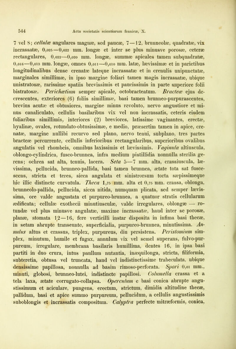 7 vel 8; cellulae angulares magnae, sed paucae, 7 —12, brunneolae, quadratae, vix incrassatae, 0,025—0,022 mm. longae et inter se plus minusve porosae, ceterae reetangulares, O.022—0,020 mm. longae, summae apicales tamen subquadratae, 0,oi6—0,013 mm. longae, omnes 0,on—0,oio mm. latae, laevissimae et in parietibus longitudinalibus dense crenatae lateque incrassatae et in crenulis unipunctatae, marginales simillimae, in ipso margine foliari tamen magis incrassatae, ubique unistratosae, rarissime spatiis brevissimis et paucissimis in parte superiore folii bistratosae. Perichcetium semper apicale, octobracteatum. Bracteae ejus de- crescentes, exteriores (6) foliis simillimae, basi tamen brunneo-purpurascentes, brevius acutae et obtusiores, margine minus revoluto, nervo angustiore et mi- nus canaliculato, cellulis basilaribus vix vel non incrassatis, ceteris eisdem foliaribus simillimis, interiores (2) breviores, latissime vaginantes, erectae, hyalinae, ovales, rotundato-obtusissimae, e medio, praesertim tamen in apice, cre- natae, margine nullibi recurvo sed plano, nervo tenui, subplano, tres partes bracteae percurrente, cellulis inferioribus rectangularibus, superioribus ovalibus angulatis vel rhombeis, omnibus laxissimis et laevissimis. Vaginula altiuscula, oblongo-cylindrica, fusco-brunnea, infra medium pistillidia nonnulla sterilia ge- rens; ochrea sat alta, tenuis, lacera. Seta 5—7 mm. alta, crassiuscula, lae- vissima, pellucida, brunneo-pallida, basi tamen brunnea, aetate tota sat fusce- scens, stricta et teres, sicca angulata et sinistrorsum torta saepissimeque hic illic distincte curvatula. Theca 1,75 mm. alta et 0,75 mm. crassa, oblonga, brunneolo-pallida, pellucida, sicca nitida, numquam plicata, sed semper laevis- sima, ore valde angustata et purpureo-brunnea, a quatuor stratis cellularum aedificata; cellulae exothecii minutiusculae, valde irregulares, oblongae — ro- tundae vel plus minusve angulatae, maxime incrassatae, haud inter se porosae, planae, stomata 12 —16, fere verticilli instar disposita in infima basi thecae, in setam abrupte transeunte, superficialia, purpureo-brunnea, minutissima. An- nulus altus et crassus, triplex, purpureus, diu persistens. Peristomium sim- plex, minutum, humile et fugax, annulum vix vel semel superans, fulvo-pur- pureum, irregulare, membrana basilaris humillima, dentes 16, in ipsa basi partiti in duo crura, intus paullum nutantia, inaequilonga, stricta, filiformia, subteretia, obtusa vel truncata, haud vel indistinctissime trabeculata, ubique densissime papillosa, nonnulla ad basim rimoso-perforata. Spori 0,oi mm., minuti, globosi, brunneo-lutei, indistincte papillosi. Columella crassa et a tela laxa, aetate corrugato-collapsa. Operculum e basi conica abrupte angu- stissimum et aciculare, pungens, erectum, strictum, dimidia altitudine thecae, pallidum, basi et apice summo purpureum, pellucidum, a cellulis angustissimis suboblongis et incrassatis compositum. Calyptra perfecte mitraeformis, conica,