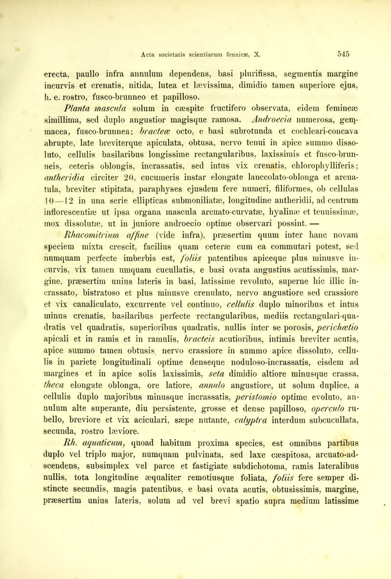 erecta, paullo infra annulum dependens, basi plurifissa, segmentis margine incurvis et crenatis, nitida, lutea et laevissima, dimidio tamen superiore ejus, h. e. rostro, fusco-brunneo et papilloso. Planta mascula solum in caespite fructifero observata, eidem femineae simillima, sed duplo angustior magisque ramosa. Androecia numerosa, gem- macea, fusco-brunnea; bracteae octo, e basi subrotunda et cochleari-concava abrupte, late breviterque apiculata, obtusa, nervo tenui in apice summo disso- luto, cellulis basilaribus longissime rectangularibus, laxissimis et fusco-brun- neis, ceteris oblongis, incrassatis, sed intus vix crenatis, chloropliylliferis; antheridia circiter 20, cucumeris instar elongate lanceolato-oblonga et arcua- tilia, breviter stipitata, paraphyses ejusdem fere numeri, filiformes, ob cellulas 10—12 in una serie ellipticas submoniliatae, longitudine antheridii, ad centrum inflorescentiae ut ipsa organa mascula arcuato-curvatse, hyalinae et tenuissimae, mox dissolutae, ut in juniore androecio optime observari possint. — Rhacomitrium affine (vide infra), praesertim quum inter hanc novam speciem mixta crescit, facilius quam ceterae cum ea commutari potest, sed numquam perfecte imberbis est, foliis patentibus apiceque plus minusve in- curvis, vix tamen umquam cucullatis, e basi ovata angustius acutissimis, mar- gine, praesertim unius lateris in basi, latissime revoluto, superne hic illic in- crassato, bistratoso et plus minusve crenulato, nervo angustiore sed crassiore et vix canaliculato, excurrente vel continuo, cellulis duplo minoribus et intus minus crenatis, basilaribus perfecte rectangularibus, mediis rectangulari-qua- dratis vel quadratis, superioribus quadratis, nullis inter se porosis, pericluetio apicali et in ramis et in ramulis, bracteis acutioribus, intimis breviter acutis, apice summo tamen obtusis, nervo crassiore in summo apice dissoluto, cellu- lis in pariete longitudinali optime denseque noduloso-incrassatis, eisdem ad margines et in apice solis laxissimis, seta dimidio altiore minusque crassa, theca elongate oblonga, ore latiore, annuto angustiore, ut solum duplice, a cellulis duplo majoribus minusque incrassatis, peristomio optime evoluto, an- nulum alte superante, diu persistente, grosse et dense papilloso, operculo ru- bello, breviore et vix aciculari, saepe nutante, calyptra interdum subcucullata, secunda, rostro laeviore. Rh. aquaticum, quoad habitum proxima species, est omnibus partibus duplo vel triplo major, numquam pulvinata, sed laxe caespitosa, arcuato-ad- scendens, subsimplex vel parce et fastigiate subdichotoma, ramis lateralibus nullis, tota longitudine aequaliter remotiusque foliata, foliis fere semper di- stincte secundis, magis patentibus, e basi ovata acutis, obtusissimis, margine, praesertim unius lateris, solum ad vel brevi spatio supra medium latissime