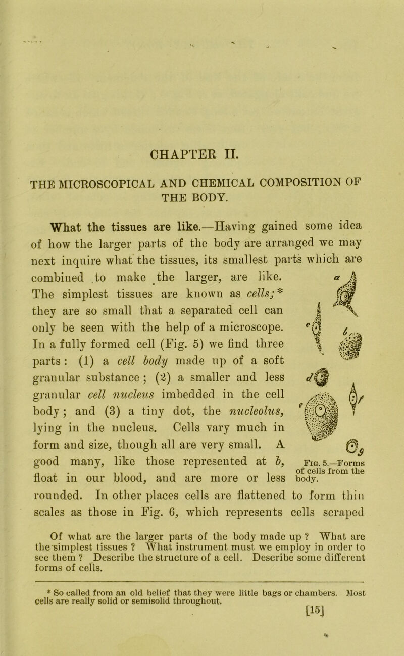 CHAPTER II. THE MICROSCOPICAL AND CHEMICAL COMPOSITION OF THE BODY. What the tissues are like.—Having gained some idea of how the larger parts of the body are arranged we may next inquire what the tissues, its smallest parts which are combined to make the larger, are like. The simplest tissues are known as cells;* they are so small that a separated cell can only be seen with the help of a microscope. In a fully formed cell (Pig. 5) we find three parts : (1) a cell body made up of a soft granular substance ; {'Z) a smaller and less granular cell nucleus imbedded in the cell body; and (3) a tiny dot, the nucleolus, lying in the nucleus. Cells vary much in form and size, though all are very small. A good many, like those represented at b, n , - 1 1 T T 1 of cells from the float in our blood, and are more or less body, rounded. In other places cells are flattened to form thin Of what are the larger parts of the body made up ? What are the simplest tissues ? What instrument must we employ in order to see them ? Describe the structure of a cell. Describe some different forms of cells. * So called from an old belief that they were little bags or chambers. Most cells are really solid or semisolid throughout. [15J Fig. 5.—Forms