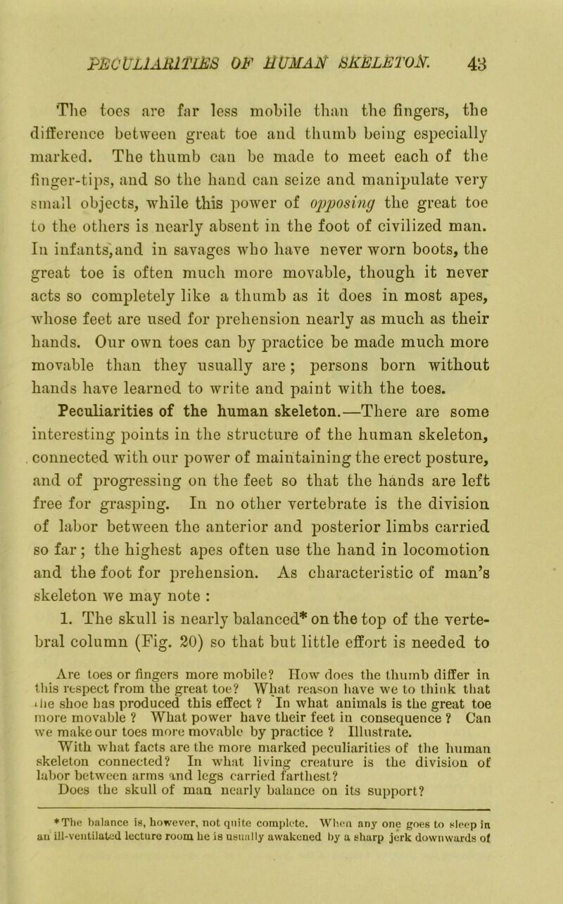 The toes fire far less mobile than the fingers, the difference between great toe and thumb being especially marked. The thumb can be made to meet each of the finger-tips, and so the hand can seize and manipulate very small objects, while this power of opposing the great toe to the others is nearly absent in the foot of civilized man. In infants',and in savages who have never worn boots, the great toe is often much more movable, though it never acts so completely like a thumb as it does in most apes, whose feet are used for prehension nearly as much as their hands. Our own toes can by practice be made much more movable than they usually are; persons born without hands have learned to write and paint with the toes. Peculiarities of the human skeleton.—There are some interesting points in the structure of the human skeleton, connected with our power of maintaining the erect posture, and of progressing on the feet so that the hands are left free for grasping. In no other vertebrate is the division of labor between the anterior and posterior limbs carried so far; the highest apes often use the hand in locomotion and the foot for prehension. As characteristic of man’s skeleton we may note : 1. The skull is nearly balanced* on the top of the verte- bral column (Fig. 20) so that but little effort is needed to Are toes or fingers more mobile? How does the thumb differ in this respect from the great toe? What reason have we to think that die shoe has produced this effect ? In what animals is the great toe more movable ? What power have their feet in consequence ? Can we make our toes more movable by practice ? Illustrate. With what facts are the more marked peculiarities of the human skeleton connected? In what living creature is the division of labor between arms and legs carried farthest? Does the skull of man nearly balance on its support? *The balance is, however, not quite conaplote. When any one goes to sleep in an ill-ventilated lecture room he is usually awakened liy a sharp jerk downwards of