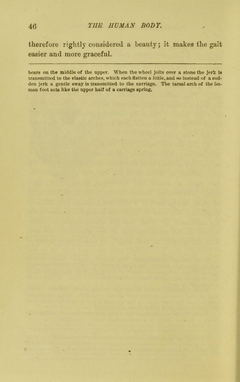 therefore rightly considered a beauty; it makes the gait easier and more graceful. bears on the middle of the upper. When the wheel jolts over a stone the jerk is transmitted to the elastic arches, which each flatten a little, and so instead of a sud- den jerk a gentle sway is transmitted to the carriage. The tarsal arch of the hm man foot acts like the upper half of a carriage spring.