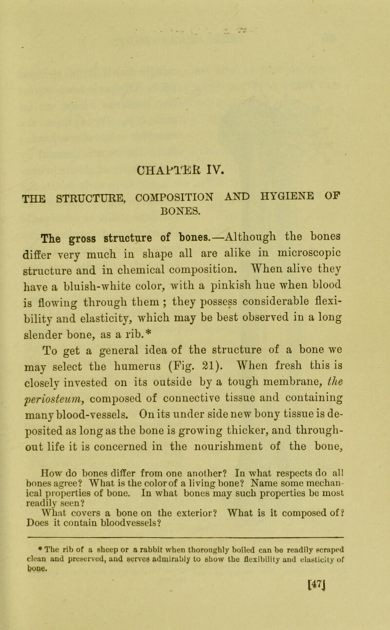 CHAprEK IV. THE STRUCTURE, COMPOSITION AND HYGIENE OF BONES. The gross structure of bones.—Although the bones differ very much in shape all are alike in microscopic structure and in chemical composition. When alive they have a bluish-white color, with a pinkish hue when blood is flowing through them ; they possess considerable flexi- bility and elasticity, which may be best observed in a long slender bone, as a rib.* To get a general idea of the structure of a bone we may select the humerus (Fig. 21). When fresh this is closely invested on its outside by a tough membrane, the periosteum, composed of connective tissue and containing many blood-vessels. On its under side new bony tissue is de- posited as long as the bone is growing thicker, and through- out life it is concerned in the nourishment of the bone. How do bones differ from one another? In what respects do all bones agree? What is the colorof a living bone? Name some mechan- ical properties of bone. In what bones may such properties be most readily seen? What covers a bone on the exterior? What is it composed of? Does it contain bloodvessels? ♦ The rib of a sheep or a rabbit when thoroughly boiled can be readily scraped clean and preserved, and serves admirably to show the flexibility and elasticity of bone. [47J