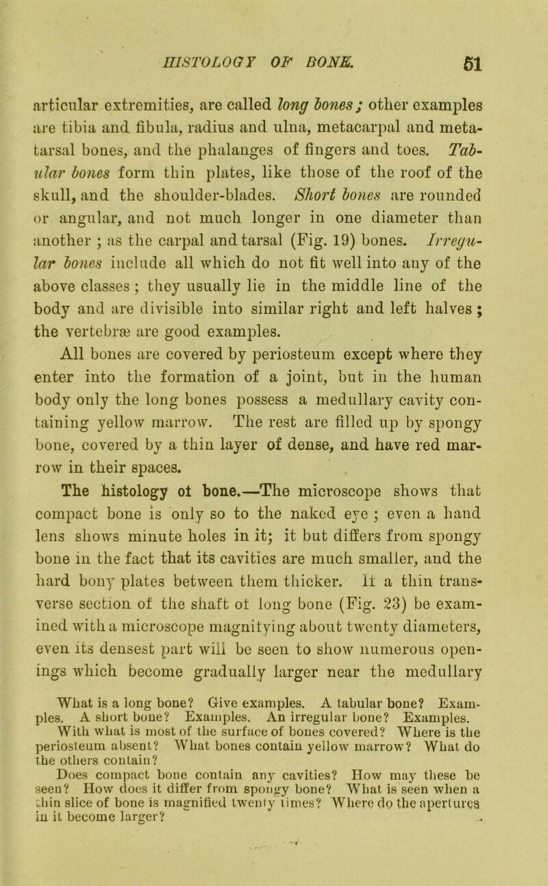 articular extremities, are called long hones; other examples are tibia and fibula, radius and ulna, metacarpal and meta- tarsal bones, and the phalanges of fingers and toes. Tab- ular bones form thin plates, like those of the roof of the skull, and the shoulder-blades. Short bones are rounded or angular, and not much longer in one diameter than another ; as the carpal and tarsal (Fig. 19) bones. Irregu- lar bones include all which do not fit well into any of the above classes ; they usually lie in the middle line of the body and are divisible into similar right and left halves ; the vertebrae are good examples. All bones are covered by periosteum except where they enter into the formation of a joint, but in the human body only the long bones possess a medullary cavity con- taining yellow marrow. The rest are filled up by spongy bone, covered by a thin layer of dense, and have red mar- row in their spaces. The histology ol bone.—The microscope shows that compact bone is only so to the naked eye ; even a hand lens shows minute holes in it; it but differs from spongy bone in the fact that its cavities are much smaller, and the hard bony plates between them thicker. 11 a thin trans- verse section of the shaft ot long bone (Fig. 23) be exam- ined with a microscope magnilying about twenty diameters, even its densest part will be seen to show numerous open- ings which become gradually larger near the medullary What is a long bone? Give examples. A tabular bone? Exam- ples. A short bone? Examples. An irregular bone? Examples. With what is most of the surface of bones covered? Where is the periosteum absent? What bones contain yellow marrow? What do the others contain? Does compact bone contain any cavities? How may these be seen? How docs it differ from spongy bone? What is seen when a L,hin slice of bone is magnified twenty limes? Where dp the aperturca in it become larger?