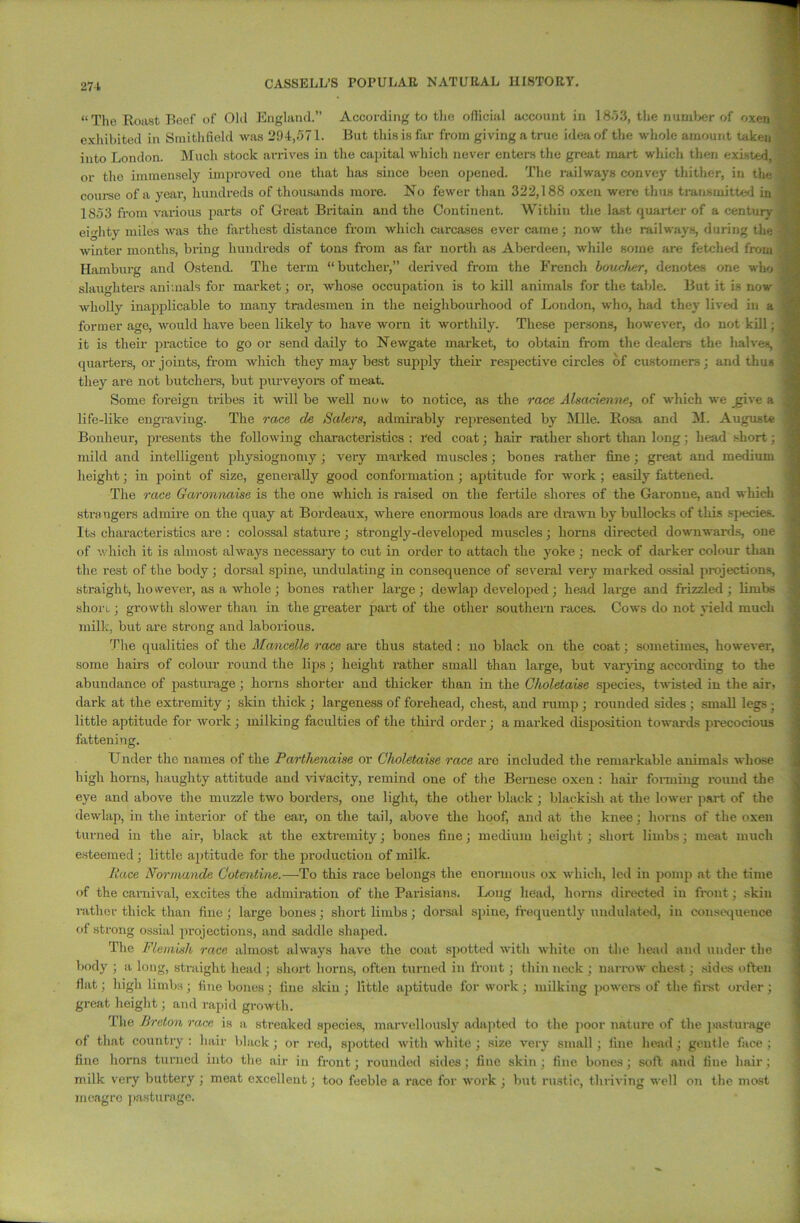 271 “The Roast Beef of Old England.” According to the oflicial account in IS53, the number of oxen exhibited in Smithfield was 204,571. But this is far from giving a true idea of the whole amount taken into London. Much stock arrives in the capital which never enters the great mart which then existed, or tho immensely improved one that has since been opened. The railways convey thither, in the course of a year, hundreds of thousands more. No fewer than 322,188 oxen were thus transmitted in 1853 from various parts of Great Britain and the Continent. Within the last quarter of a century eight}* miles was the farthest distance from which carcases ever came; now the railways, during the winter months, bring hundreds of tons from as far north as Aberdeen, while some are fetched from Hamburg and Ostend. The term “butcher,” derived from the French boucher, denotes one who slaughters animals for market; or, whose occupation is to kill animals for the table. But it is now wholly inapplicable to many tradesmen in the neighbourhood of London, who, had they lived in a former a<m, would have been likely to have worn it worthily. These persons, however, do not kill; it is their practice to go or send daily to Newgate market, to obtain from the dealers the halves, quarters, or joints, from which they may best supply their respective circles of customers; and thus they are not butchers, but purveyors of meat. Some foreign tribes it will be well now to notice, as the race Alsacienne, of which we _give a life-like engraving. The race cle Salers, admirably represented by Mile. Rosa and M. Auguste Bonheur, presents the following characteristics : red coat; hair rather short than long; head short; mild and intelligent physiognomy ; very marked muscles; bones rather fine; great and medium height; in point of size, generally good conformation ; aptitude for work ; easily fattened. The race Garonnaise is the one which is raised on the fertile shores of the Garonne, and which strangers admire on the quay at Bordeaux, where enormous loads are drawn by bullocks of this species. Its characteristics are : colossal stature; strongly-developed muscles; horns directed downwards, one of which it is almost always necessary to cut in order to attach the yoke; neck of darker colour than the rest of the body; dorsal spine, undulating in consequence of several very marked ossial projections, straight, however, as a whole ; bones rather large; dewlap developed; head large and frizzled ; limbs short.; growth slower than in the greater part of the other southern races. Cows do not yield much milk, but are strong and laborious. The qualities of the Mancelle race are thus stated : no black on the coat; sometimes, however, some hairs of colour round the lips; height rather small than large, but varying according to the abundance of pasturage ; horns shorter and thicker than in the Gholetaise species, twisted in the air, dark at the extremity ; skin thick ; largeness of forehead, chest, and rump ; rounded sides ; small legs ■ little aptitude for work; milking faculties of the third order; a marked disposition towards precocious fattening. Under the names of the Partlienaise or Choletaise race arc included the remarkable animals whose high horns, haughty attitude and vivacity, remind one of the Bernese oxen : hair forming round the eye and above the muzzle two borders, one light, the other black ; blackish at the lower part of the dewlap, in the interior of the ear, on the tail, above the hoof, and at the knee; horns of the oxen turned in the air, black at the extremity; bones fine; medium height; short limbs; meat much esteemed ; little aptitude for the production of milk. Race Niormande Cotentine.—To this race belongs the enormous ox which, led in pomp at the time of the carnival, excites the admiration of the Parisians. Long head, horns directed iu front; skin rather thick than fine; large bones; short limbs; dorsal spine, frequently undulated, in consequence of strong ossial projections, and saddle shaped. The Flemish race almost always have the coat spotted with white on the head and under the body ; a long, straight head ; short horns, often turned in front; thin neck ; narrow chest; sides often flat; high limbs ; fine bones ; fine skin ; little aptitude for work ; milking powers of the first order ; great height; and rapid growth. The Breton race is a streaked species, marvellously adapted to the poor nature of the pasturage of that country : hair black ; or red, spotted with white ; size very small ; fine head ; gentle face ; fine horns turned into the air in front; rounded sides; fine skin; fine bones; soft and fine hair; milk very buttery ; meat excellent; too feeble a race for work ; but rustic, thriving well on the most meagre pasturage.