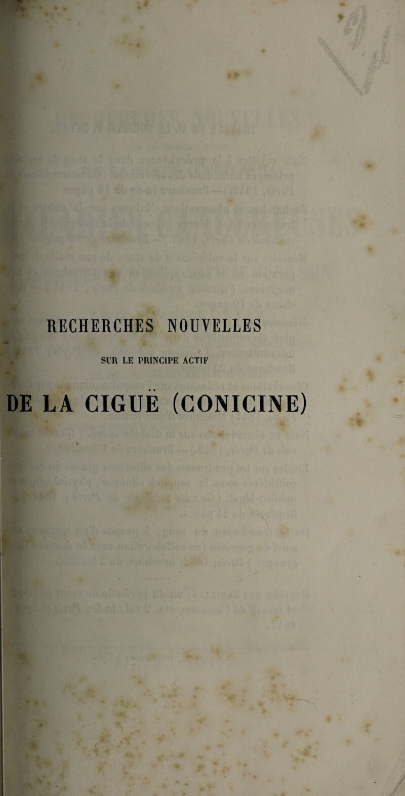 RECHERCHES NOUVELLES SUR LE PRINCIPE ACTIF DE LA CIGUË (CONICINE) / / .>4— r
