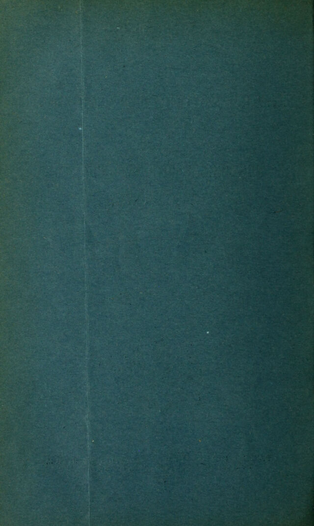 digitised image 2